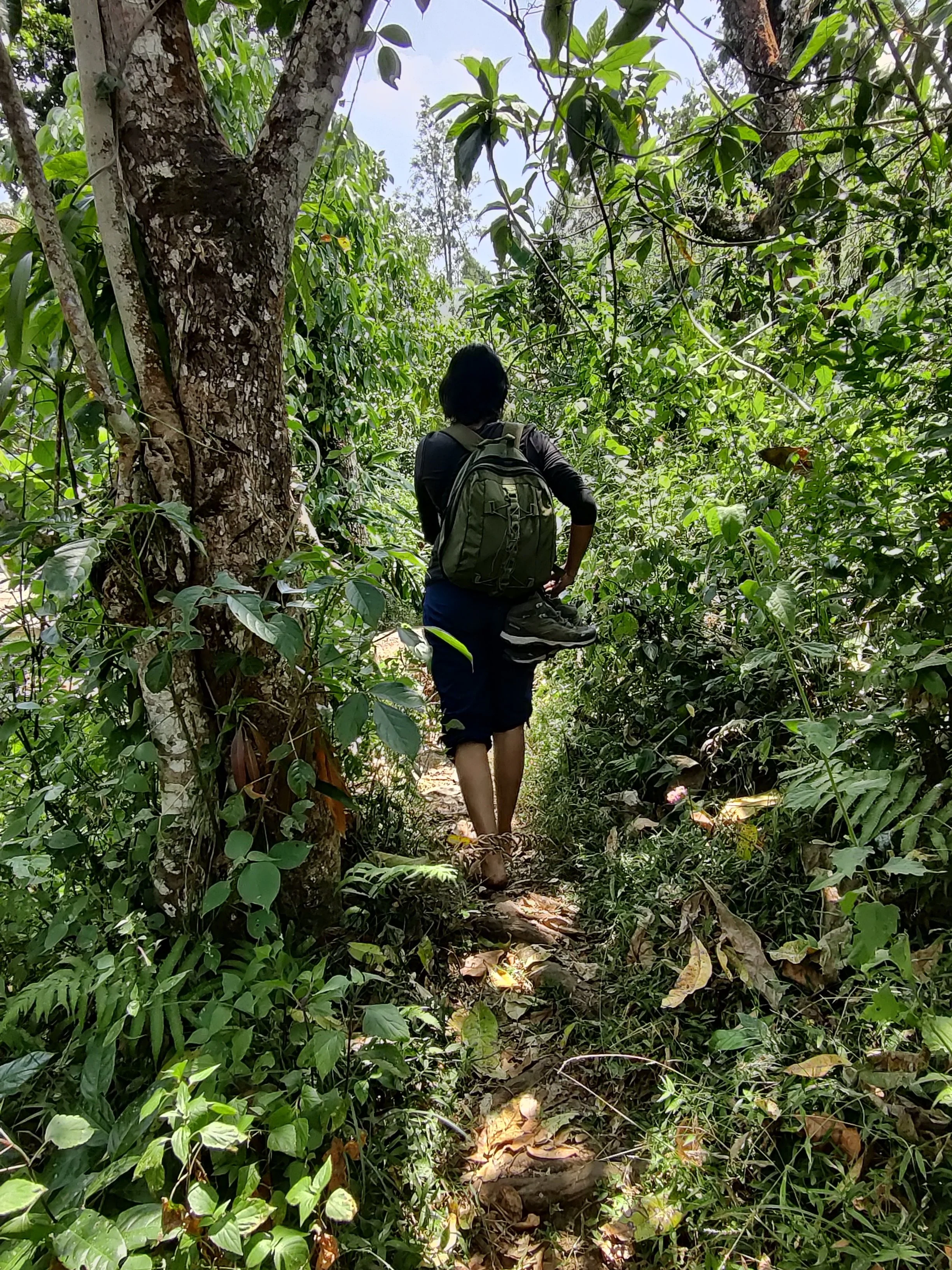Exploring the riparian zones around the site