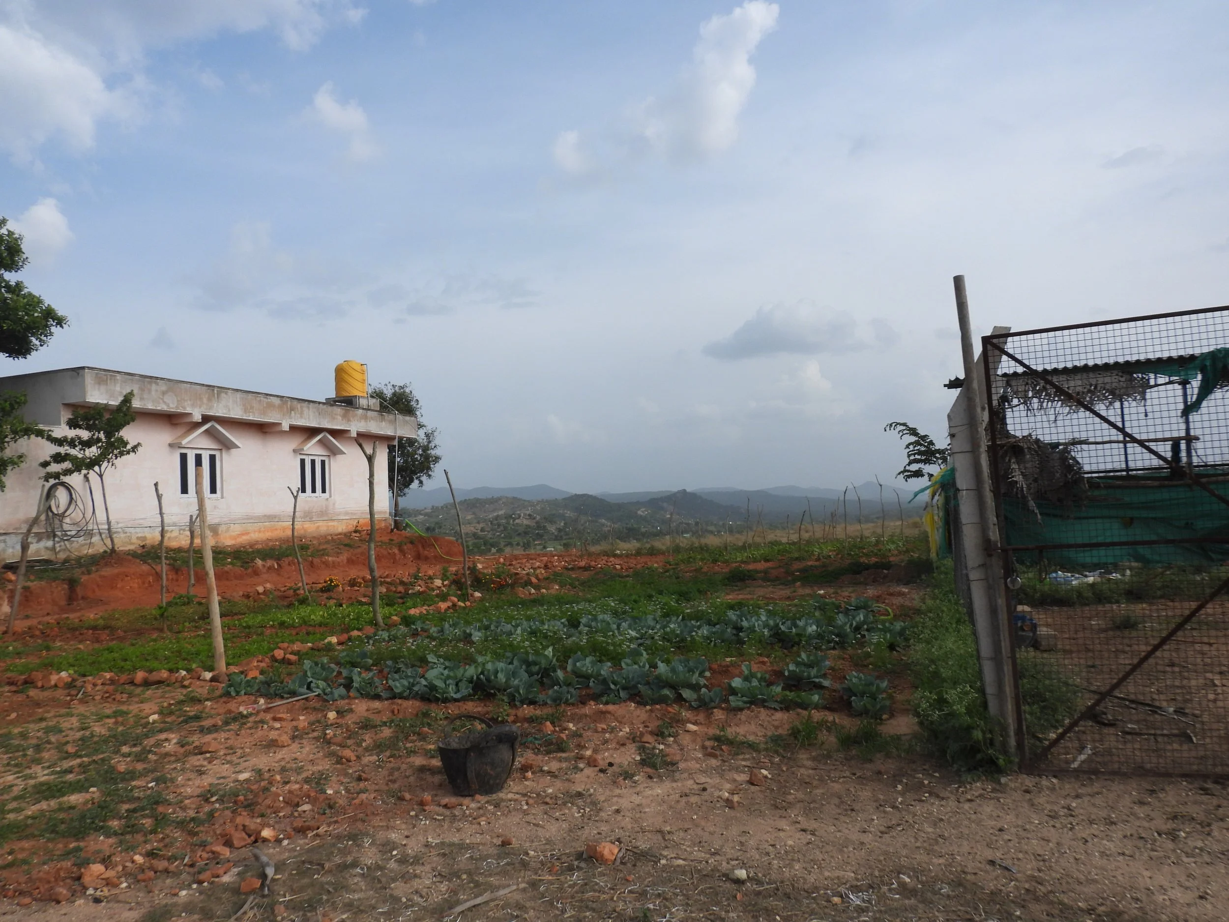 Vegetable garden introduced by the on ground team