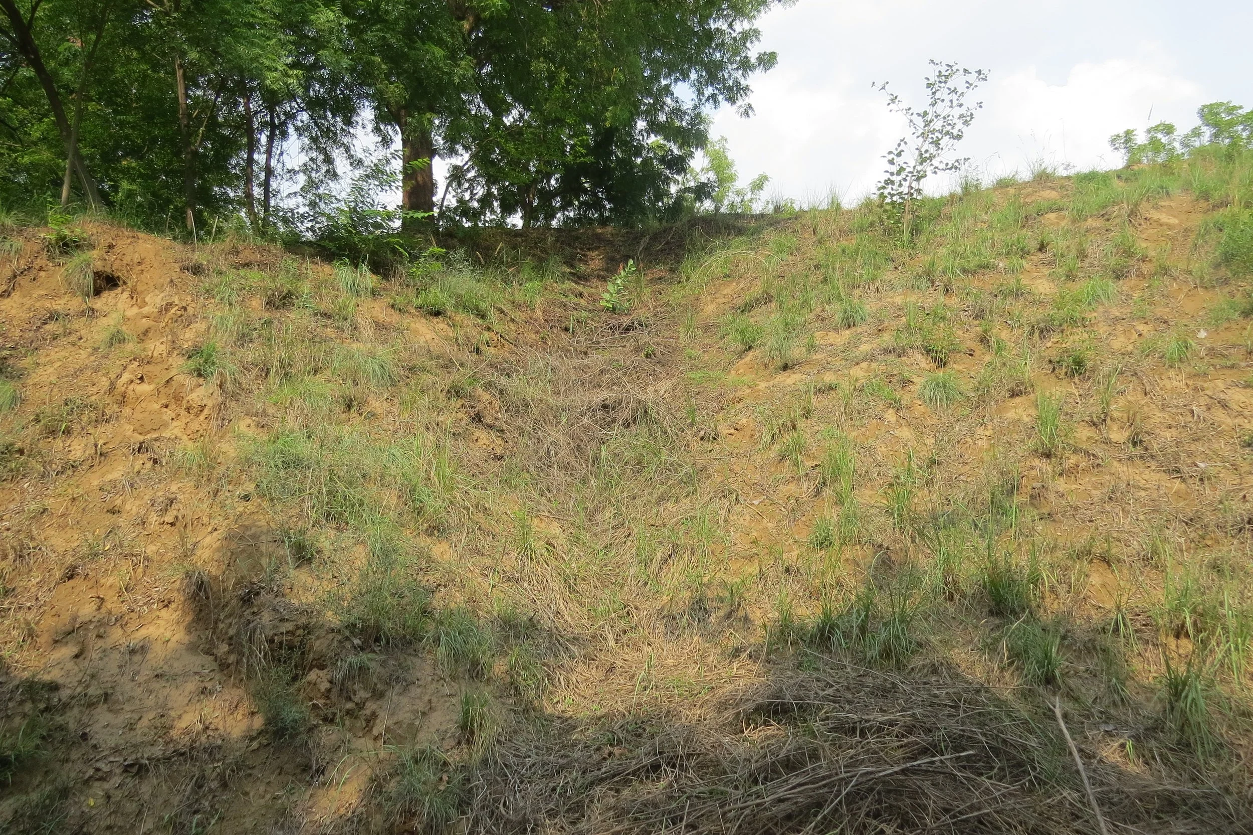 Prominent valley and water flow