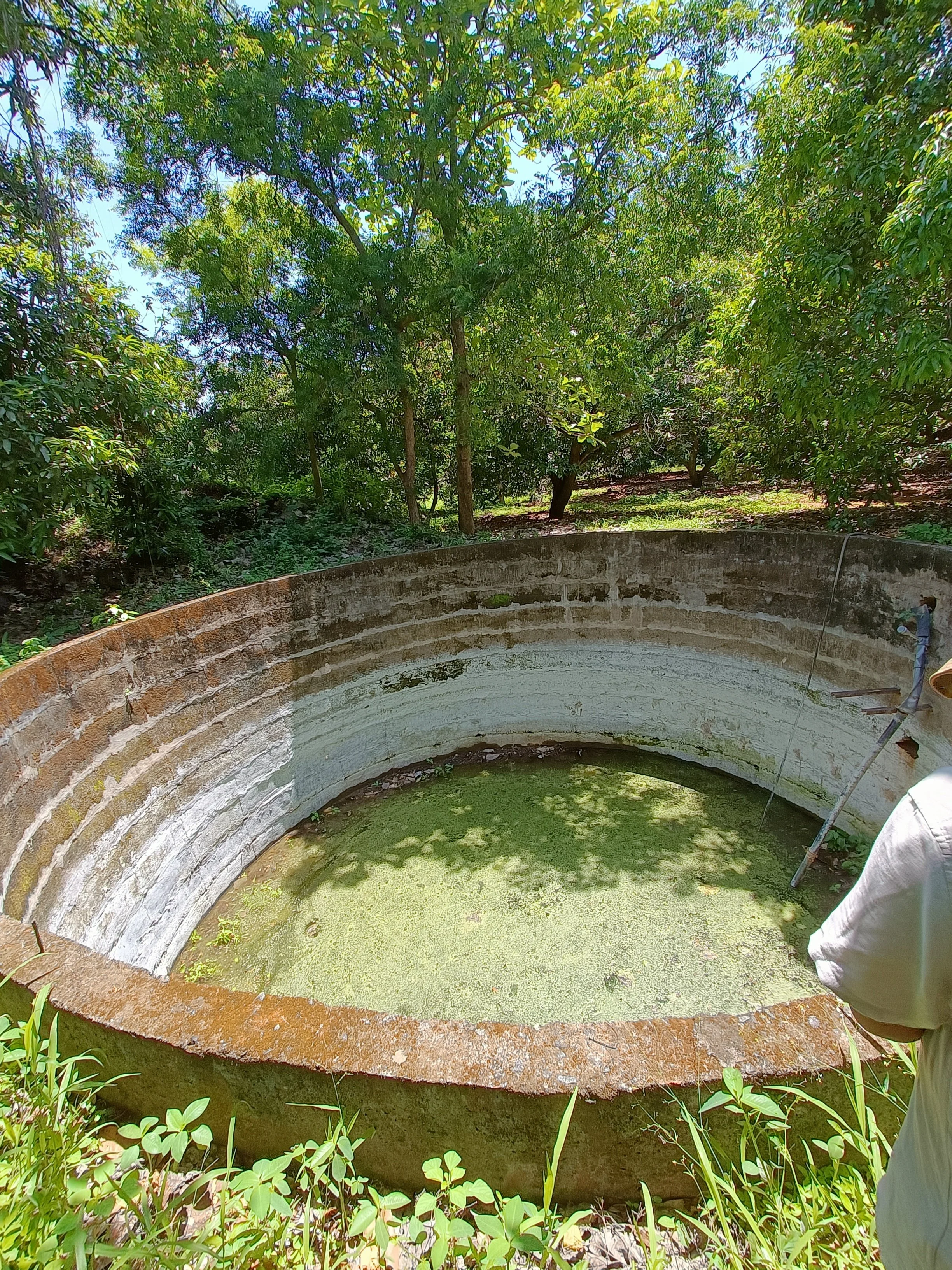 Neighbouring land - open well