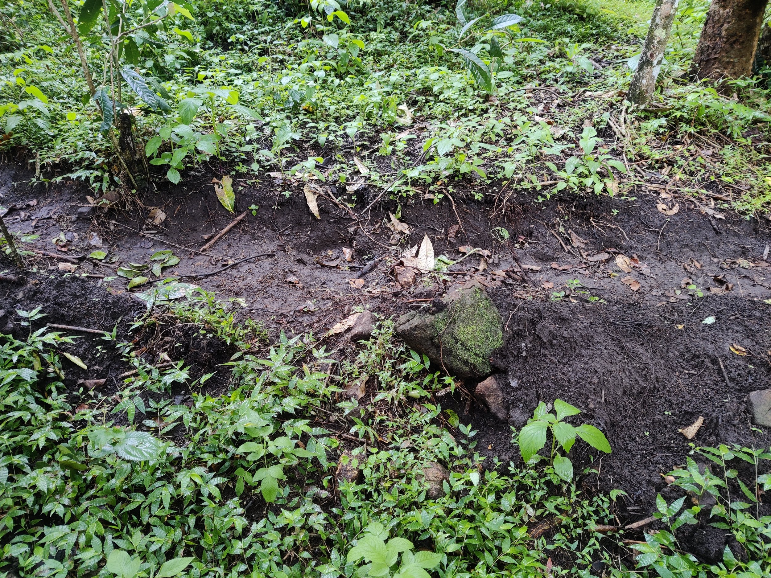 Trenches on site connecting ponds and basins