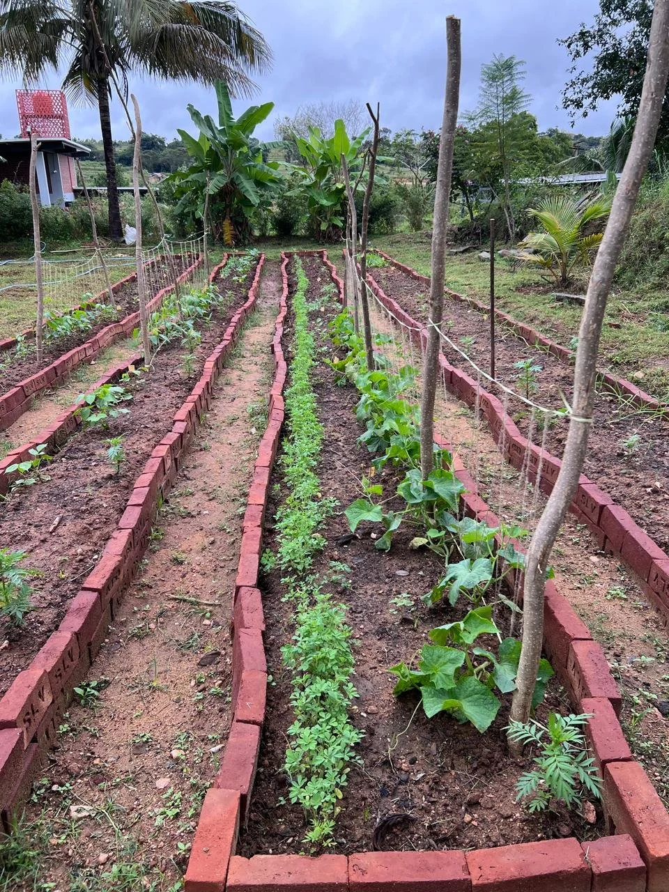 Veggie beds with trellises [photo from client]