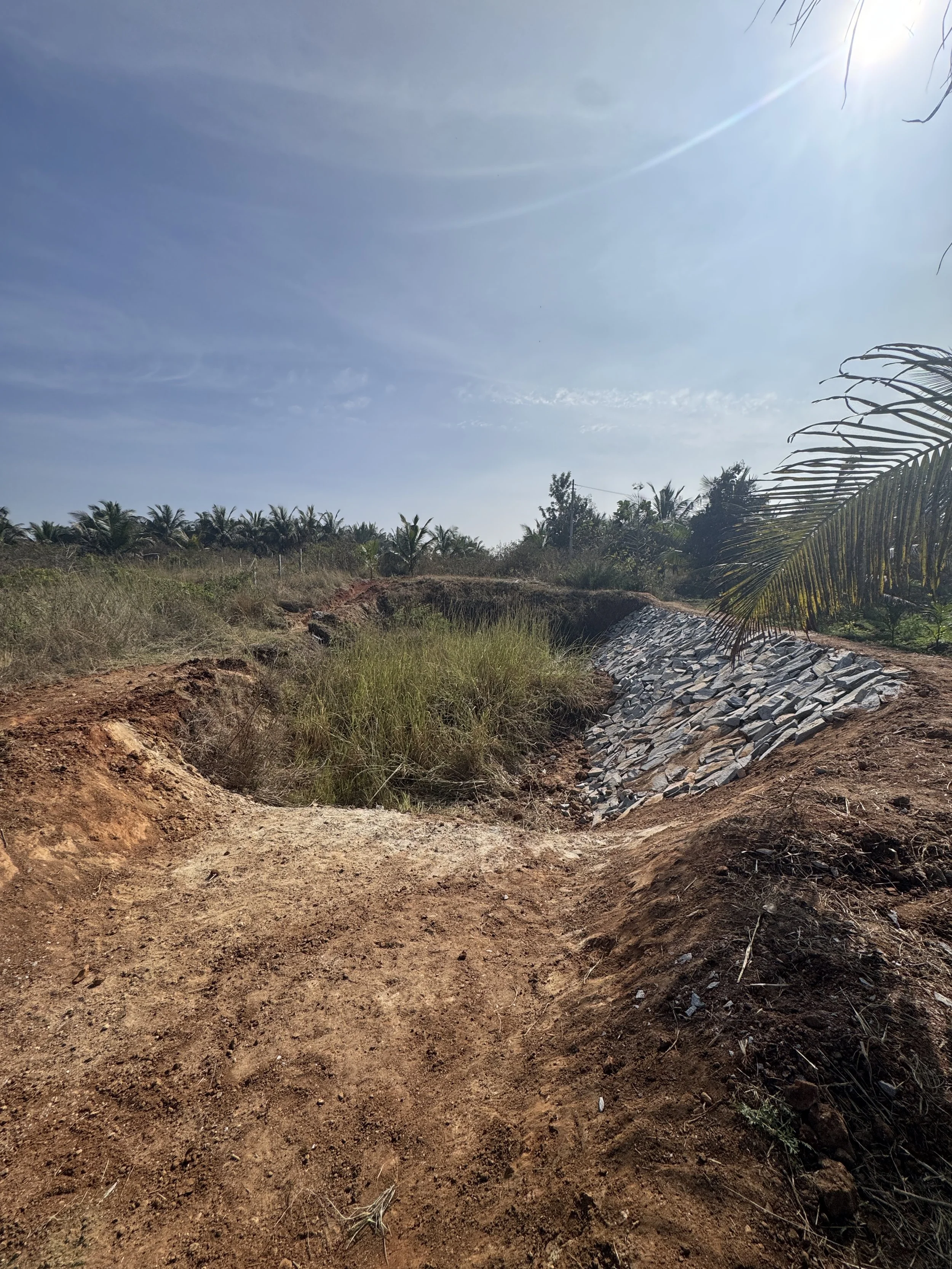Pond 1 (P1), dug before our joining, breached every year during the monsoons. Image shows repaired bundh and pitching for reinforcement