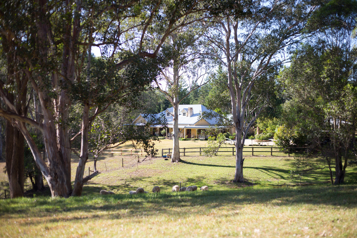 from further down driveway (1 of 1).jpg