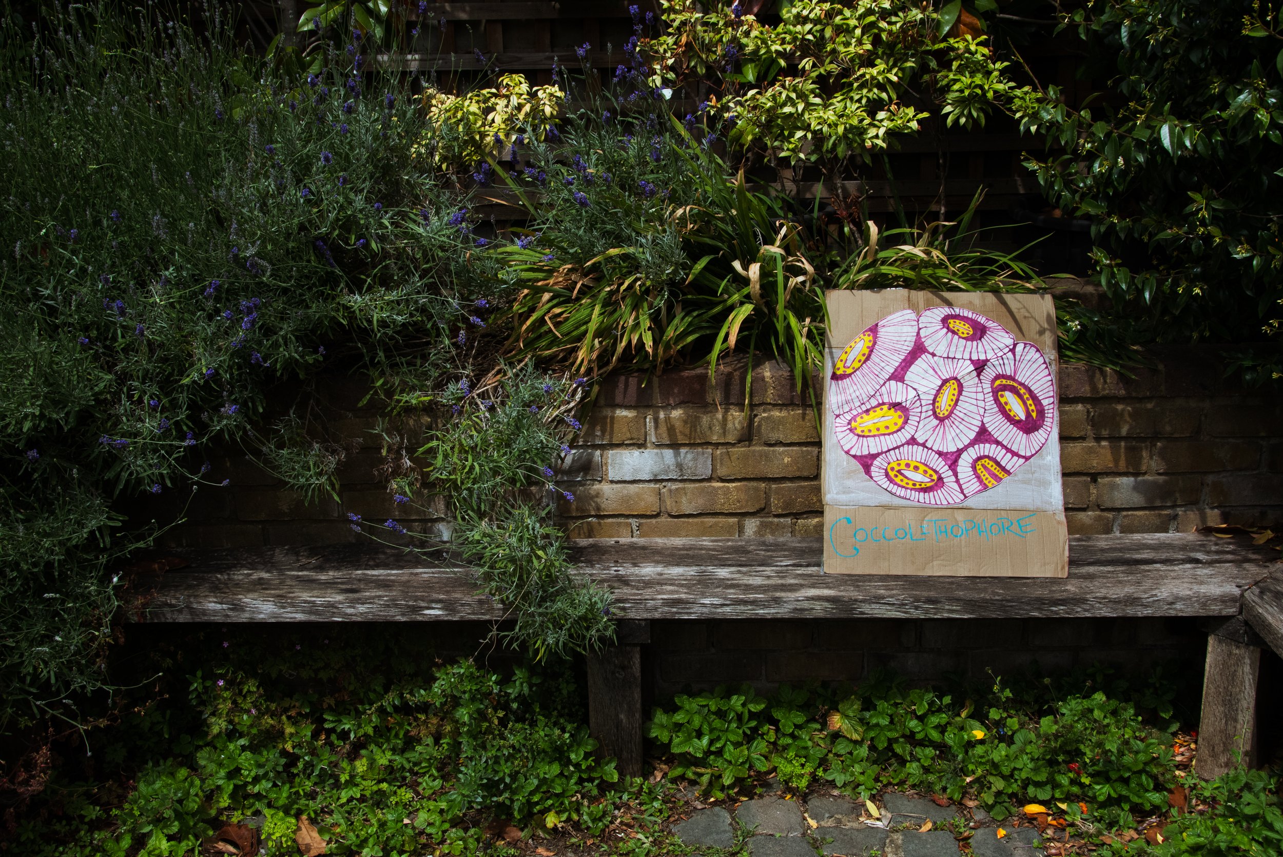  Tiny Ocean Plants Exhibition including art works made by families who participated In Tiny Ocean Plants workshops, funded by RBKC.     Image: Geral Curtis  