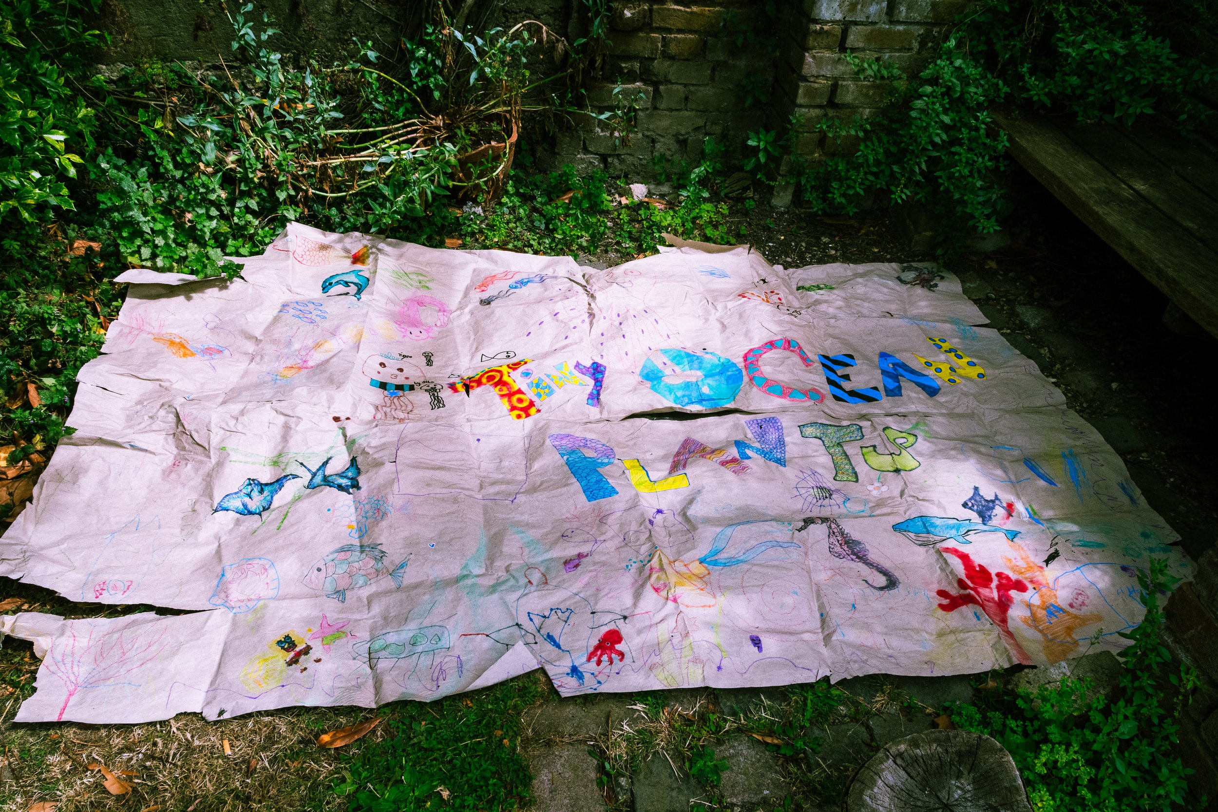  Tiny Ocean Plants Exhibition including art works made by families who participated In Tiny Ocean Plants workshops, funded by RBKC.     Image: Geral Curtis  