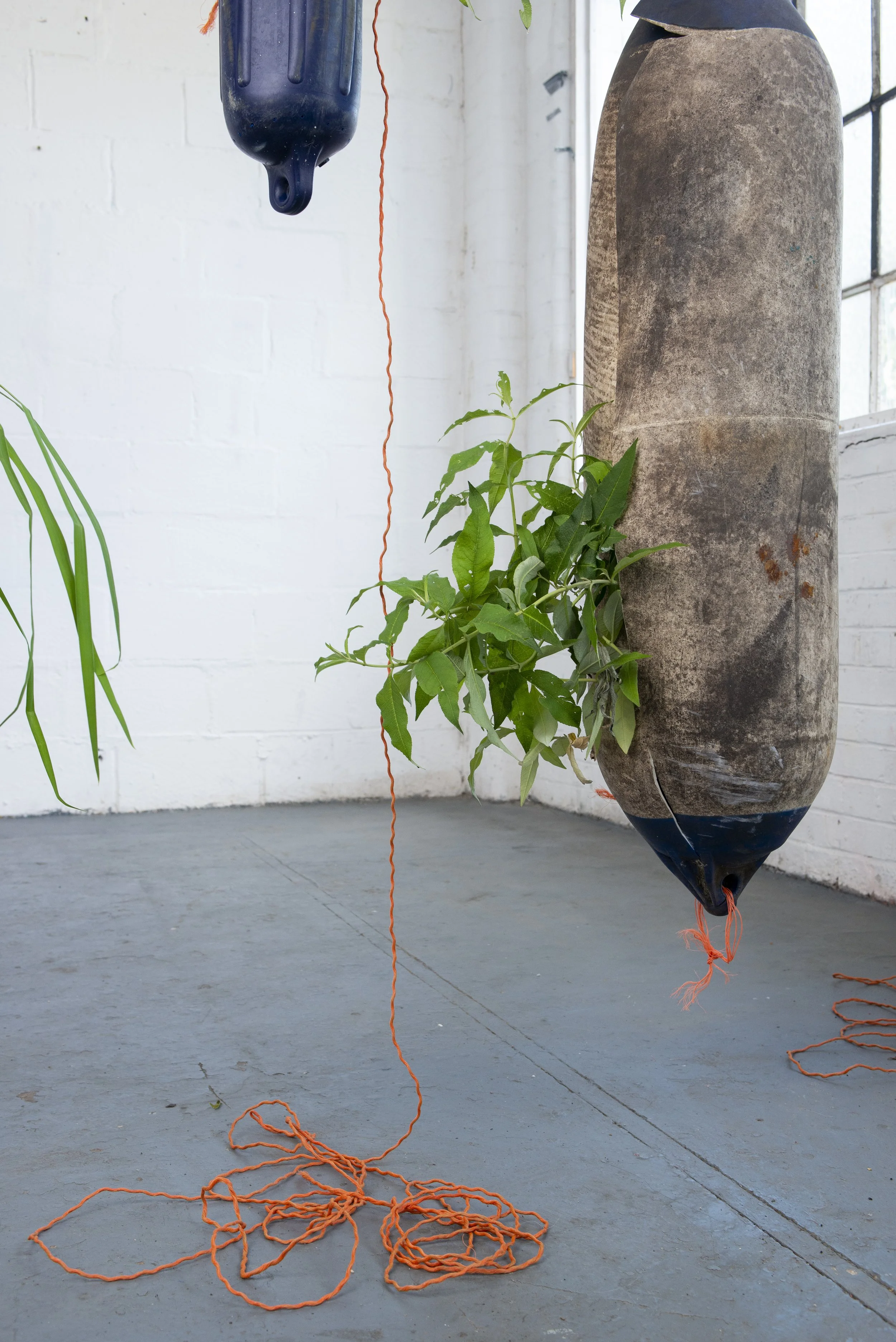 Clean Air Canal - London Rivers Week 