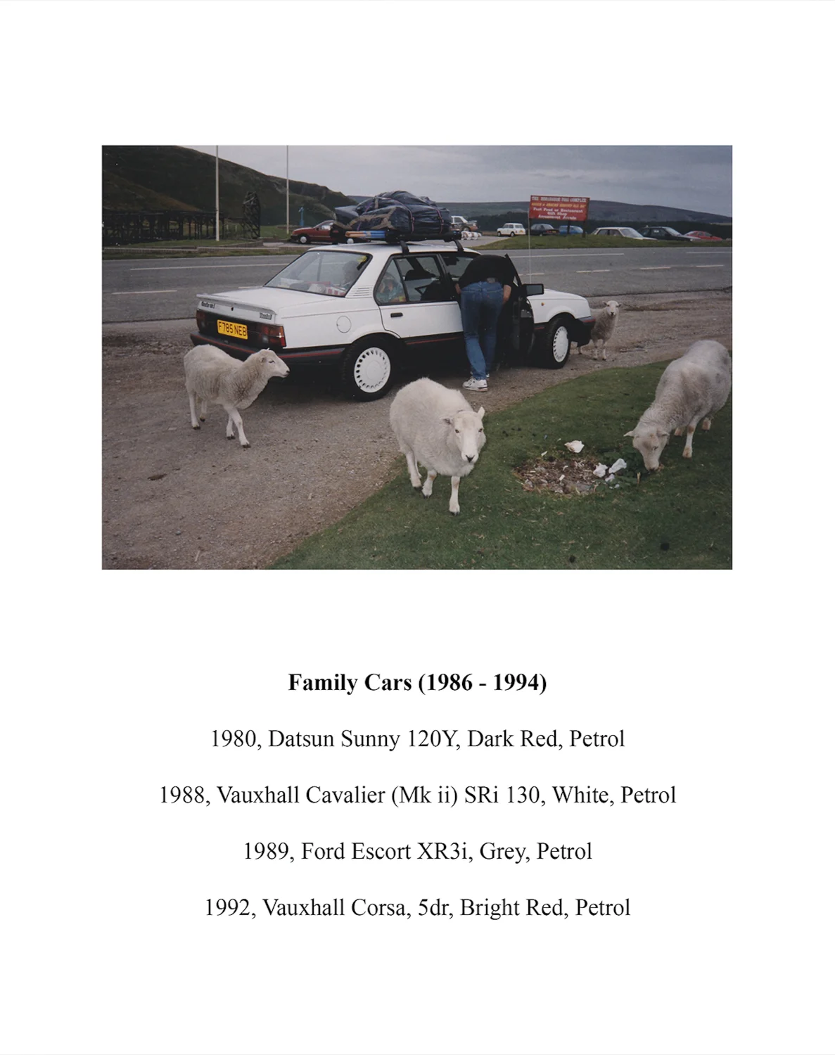 Family Cars