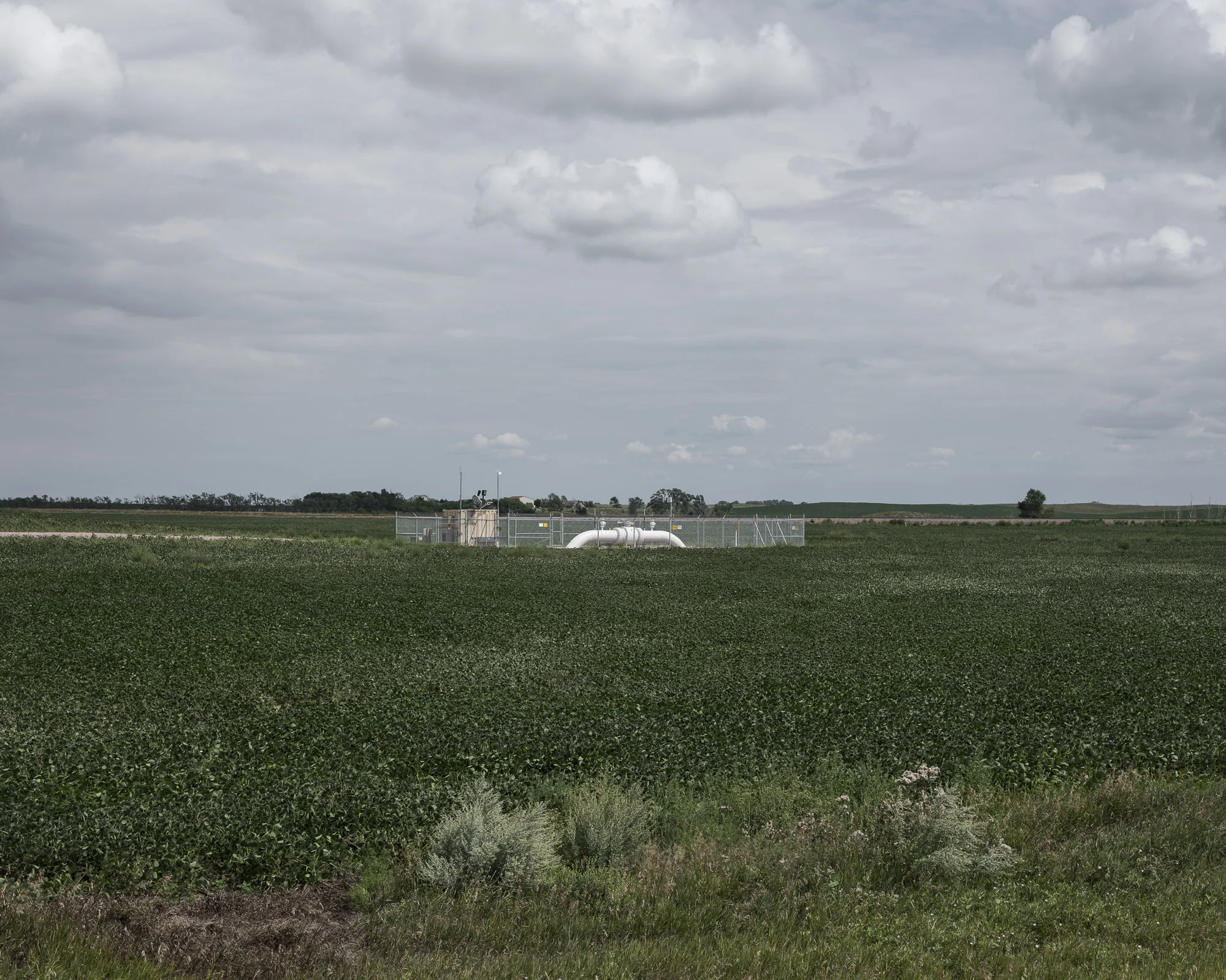 OLaS_060817_Portfolio_010-138.jpg