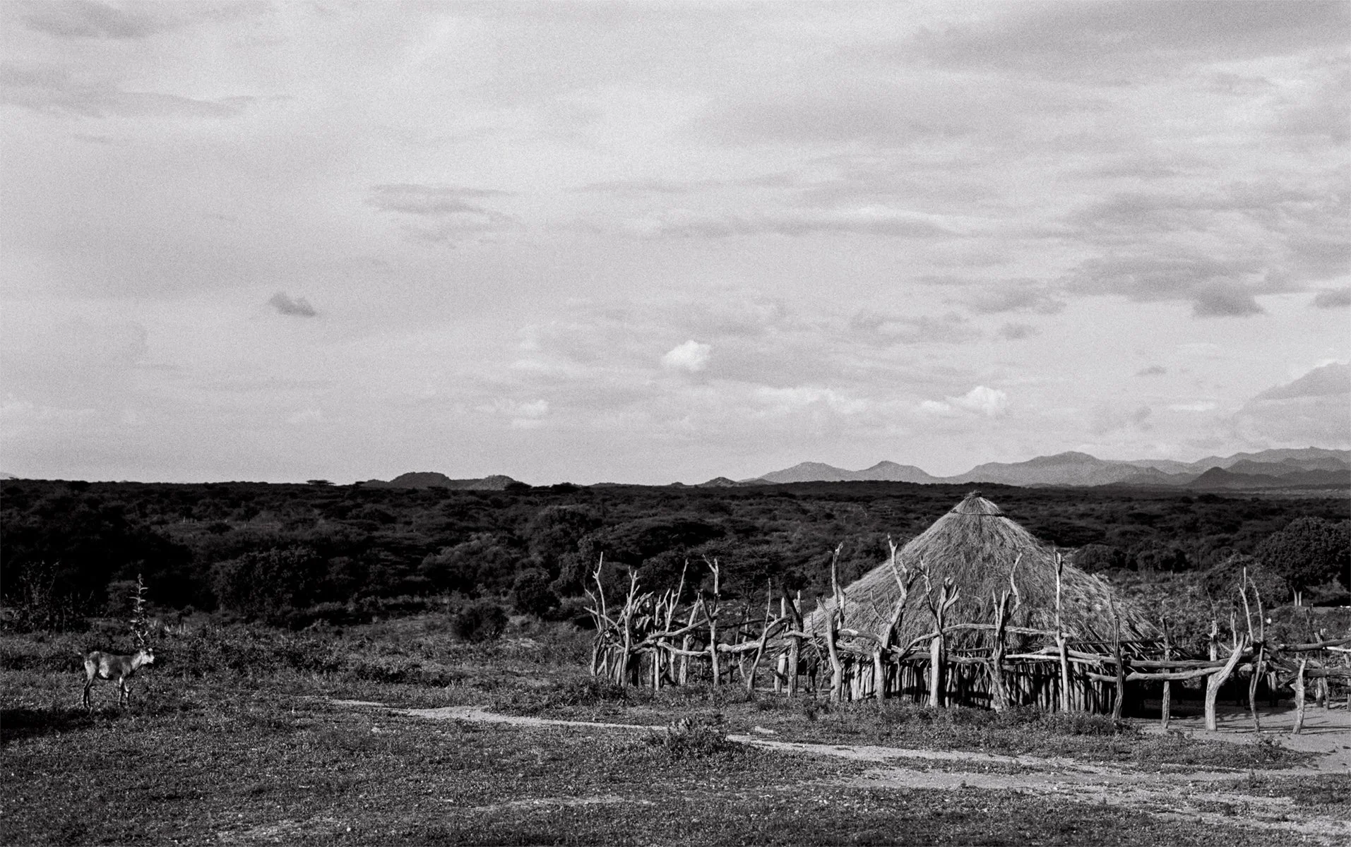  Black-and-white Ethiopian landscape with a traditional thatched homestead, timber fencing and distant mountains, photographed by Sean Thomas for Holiday Magazine. 