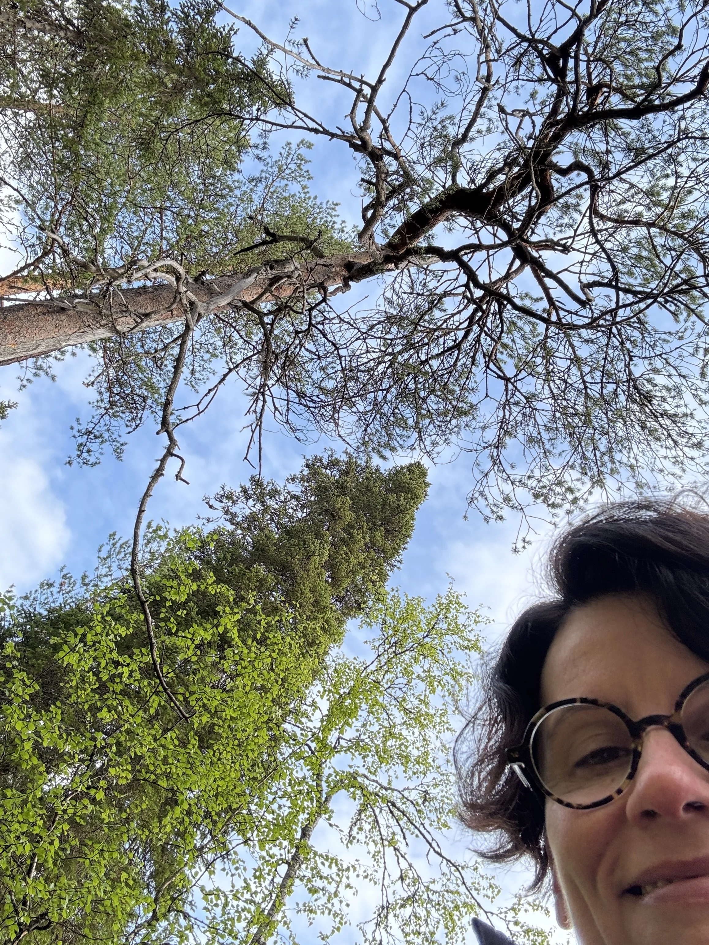 Hannele Korhonen Intuition Research