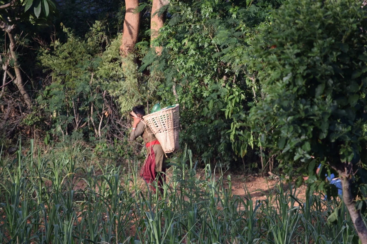 Women will often do the majority if not all physical labour in the home. This woman has just collected up to 40L of water which she carries on her back.