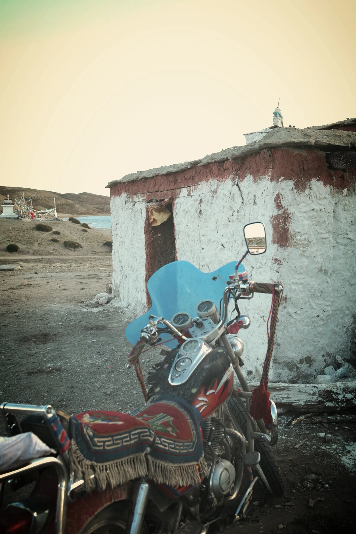 IMG_2484_k.jpg