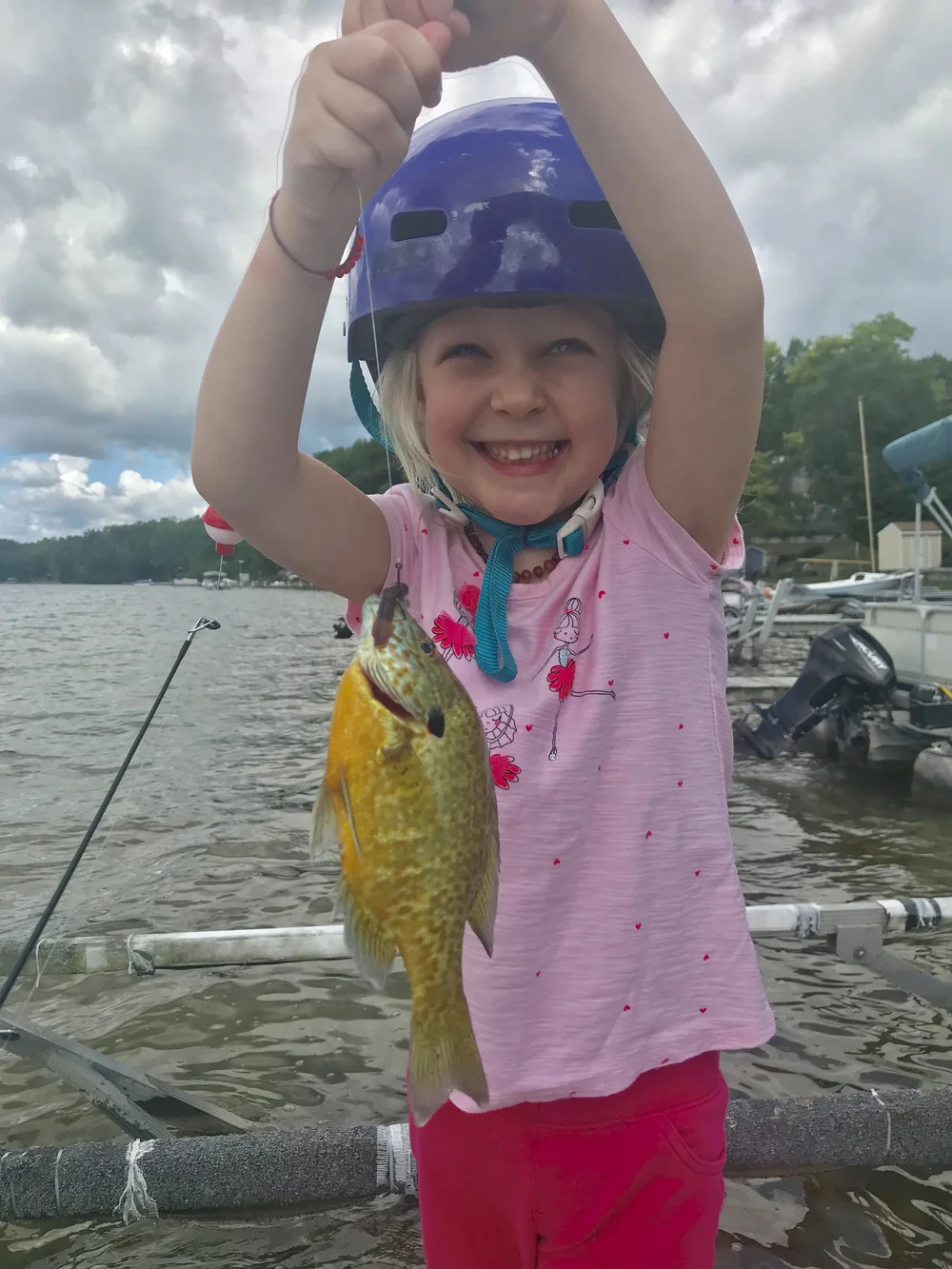 Wilcox A frame 1.jpeg