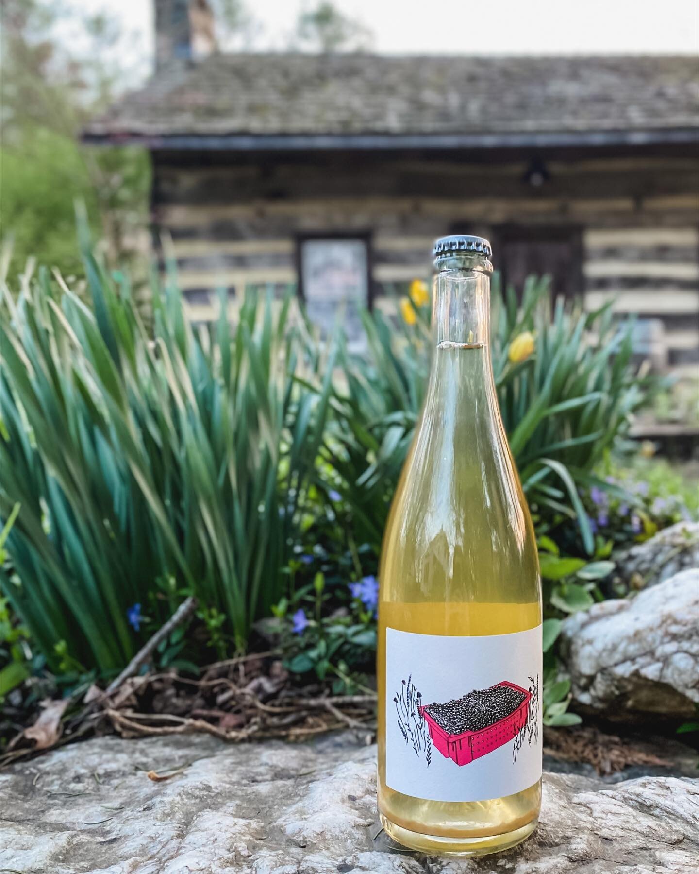 In case you missed it: bright, juicy, bubbly Vidal Blanc p&eacute;t-nat (with a teeny bit of Petit Manseng) is available for all your spring patio sipping needs. This was a bit of an experiment this year, and we love how this one turned out. ✨You can