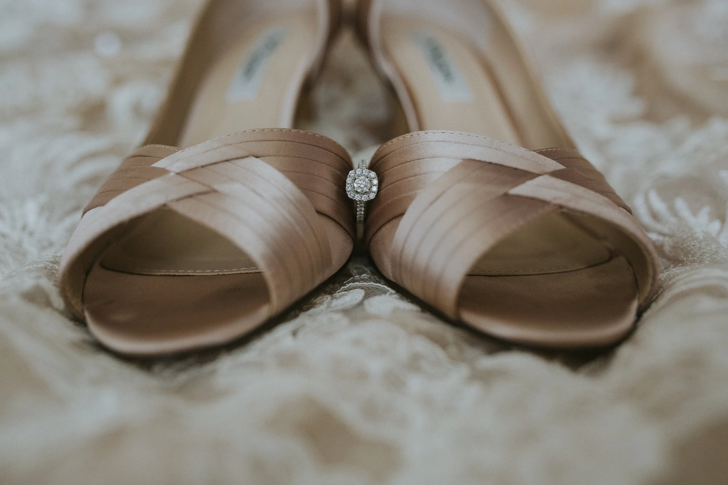 untitled shoot-4126.jpg