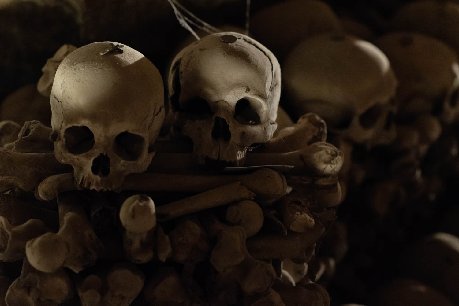 Cimitero delle fontanelle (48 von 69).jpg