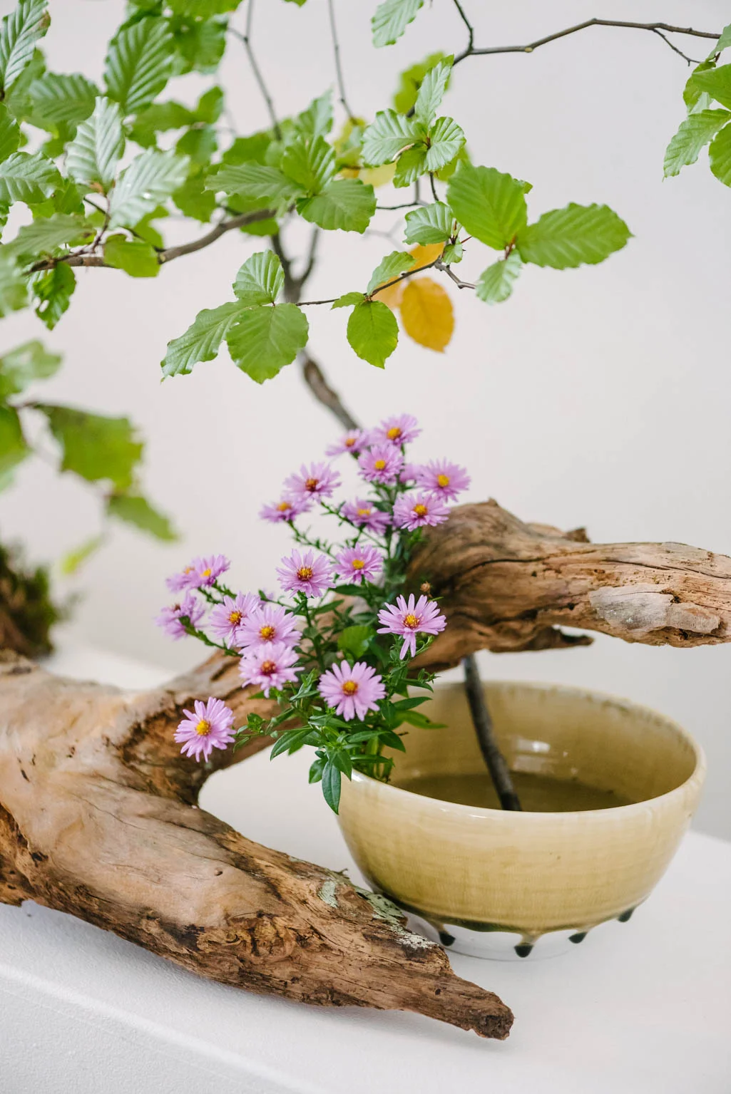 IKEBANA: DENKEN UND TUN