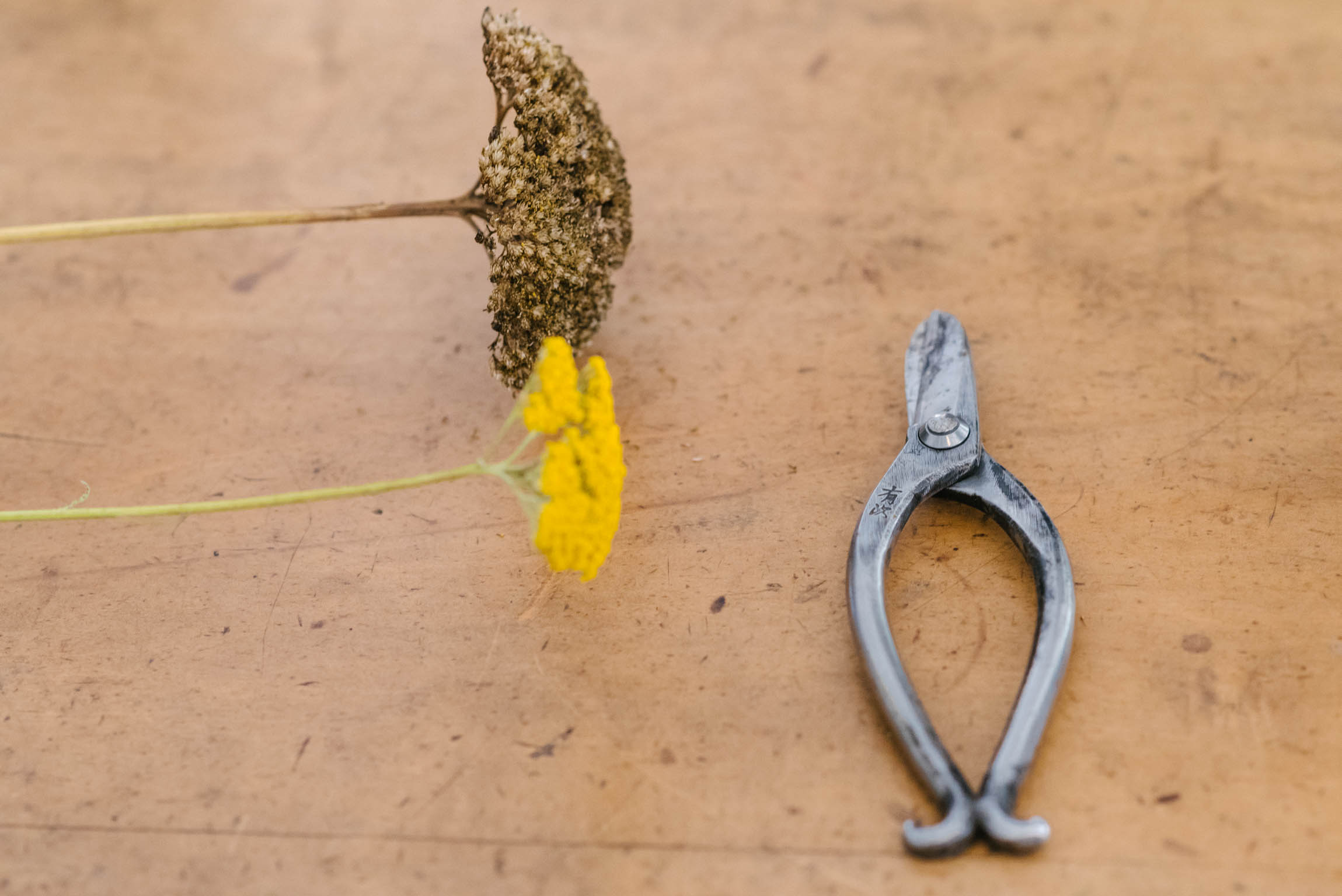 IKEBANA: DENKEN UND TUN