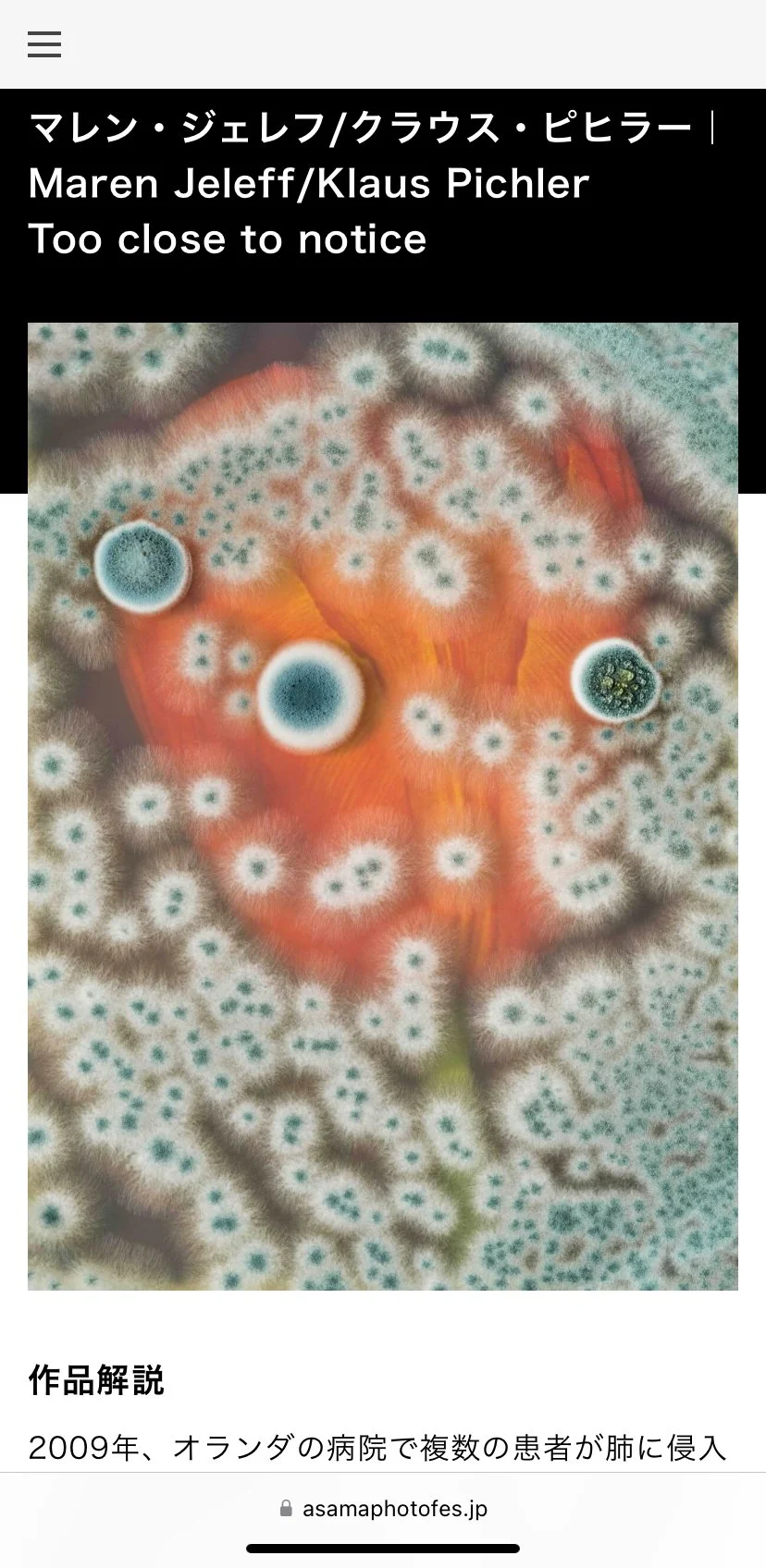 Currently on display: “Too close to notice” at The Asama International Photo Festival – PHOTO MIYOTA 2025 in Miyota, Nagano, Japan (August 2 – September 30, 2025) Official Website: https://asamaphotofes.jp/ Instagram : @ asamaphotofes.jp