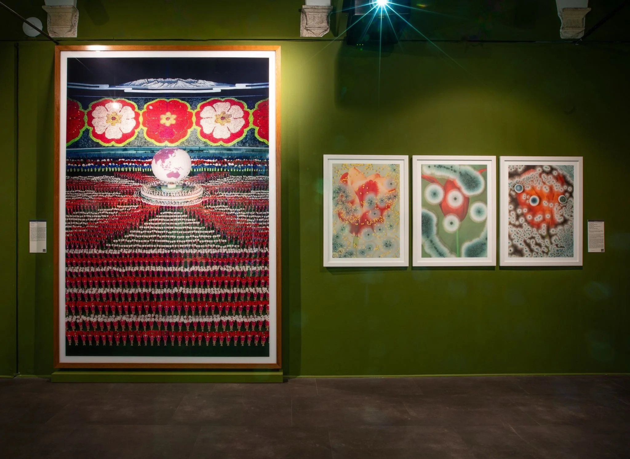   Too Close to Notice  — currently on view at Il Chiostro del Bramante, Rome.  Next stop:  Kunsthal Rotterdam, March 2026 