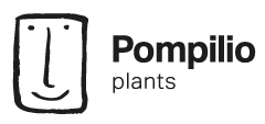 Pompilio Plants