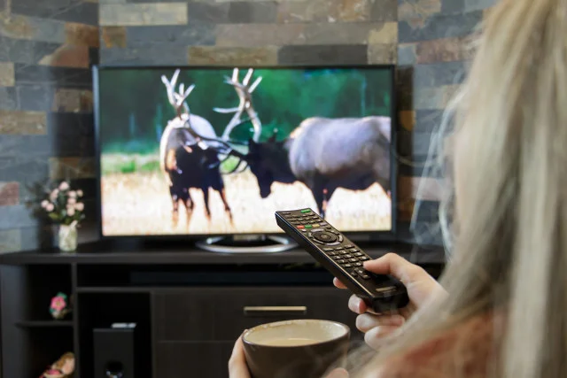 Nielsen: Traditional TV Still Tops
