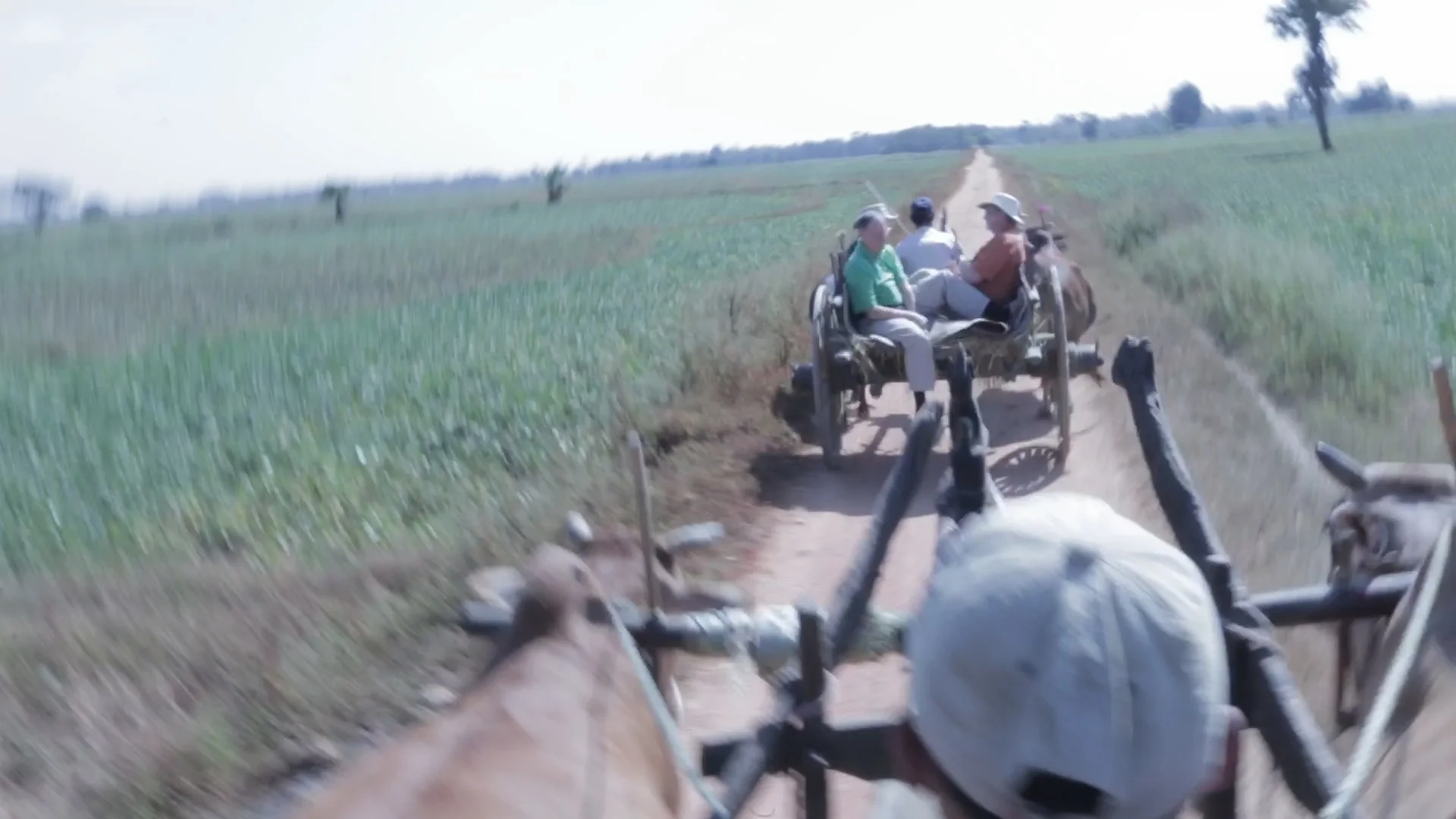 on the trail.jpg