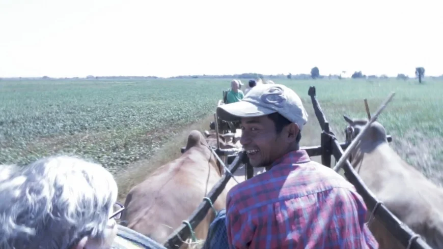 Our cart driver keeps glancing back at us with our cameras and iPhones out ; His giddy grin and the look in his eyes says it all: he’s just as confused and amused by this scene as we are.