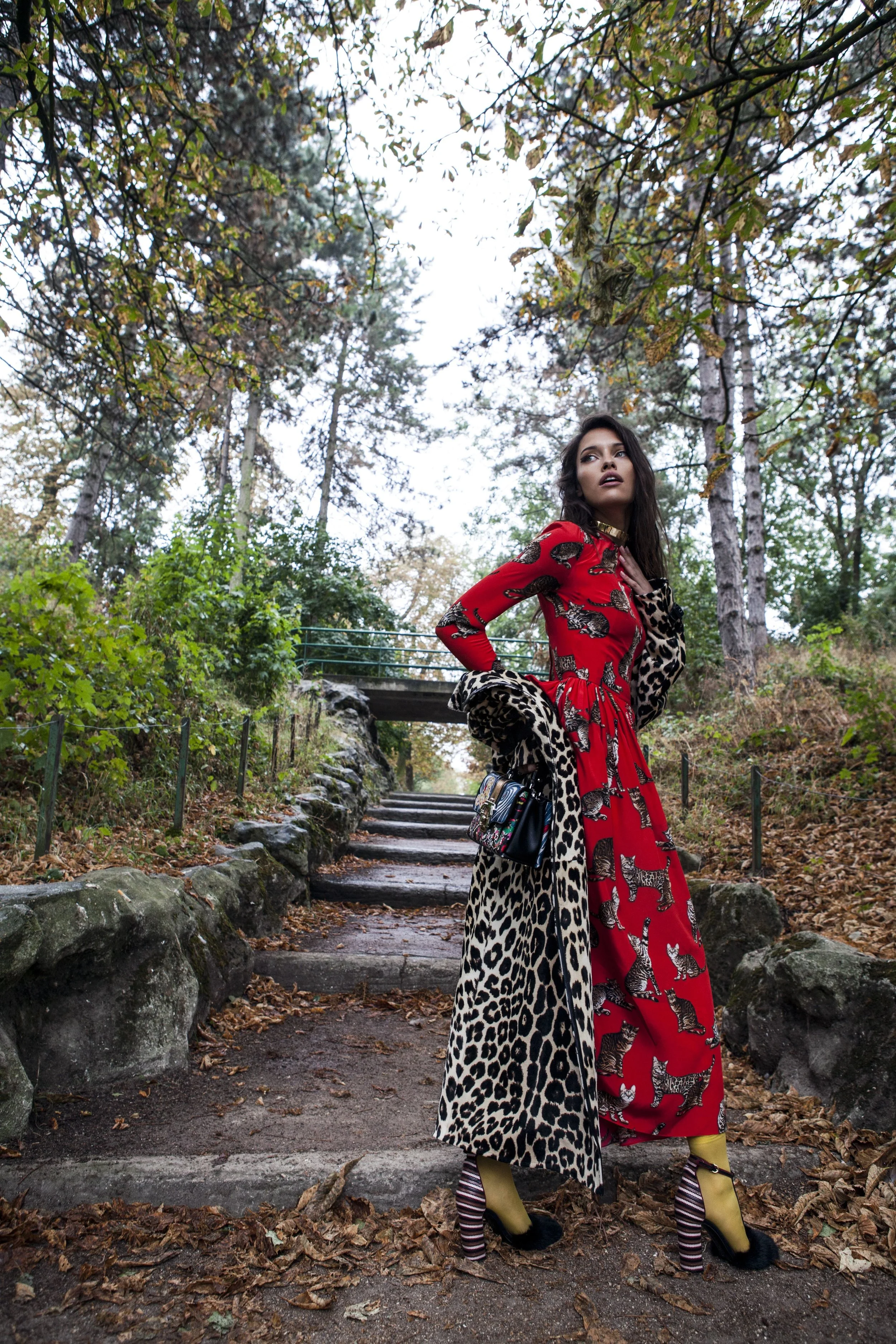 Pasham Alwani Elle Seeing Spots .jpg