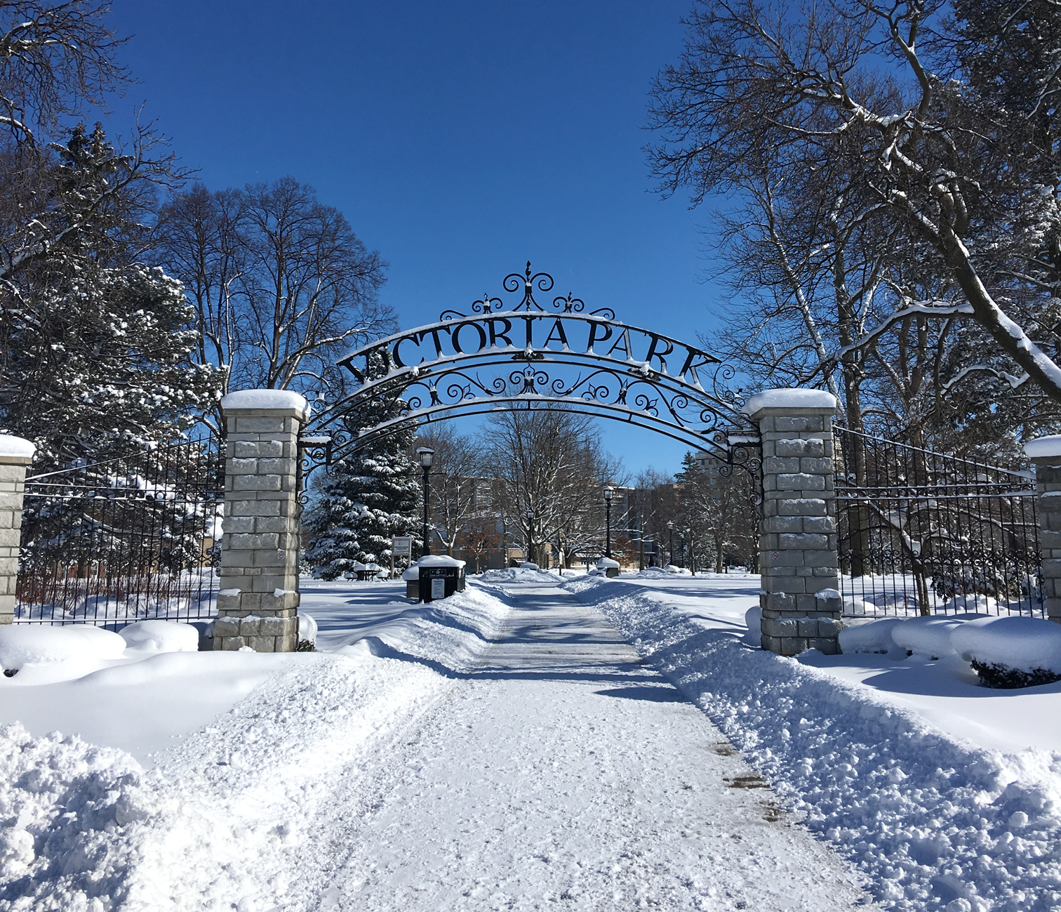 IMG_0261-Vic-park.png