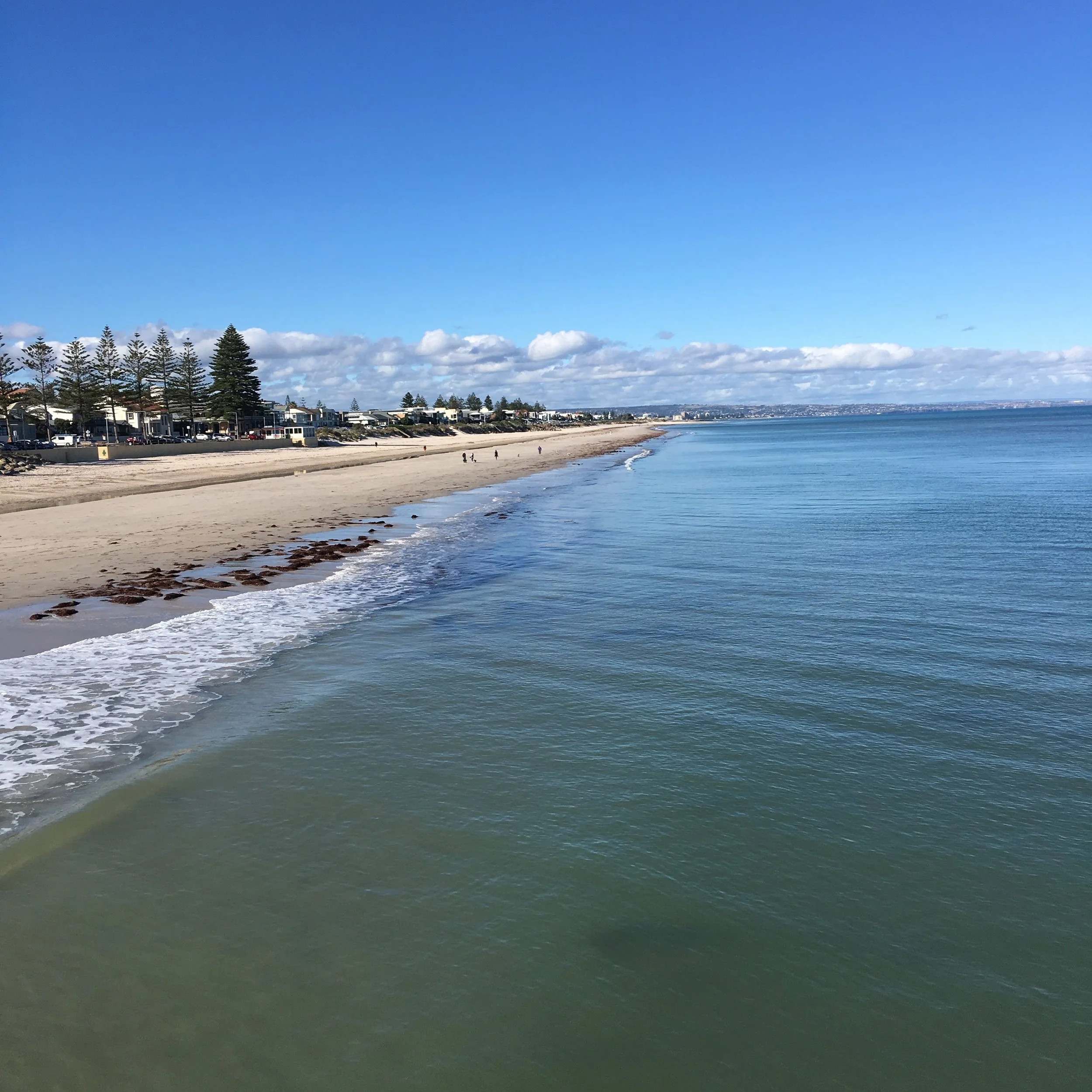A beautiful autumn day down at the beach (Brighton, SA, Aus)