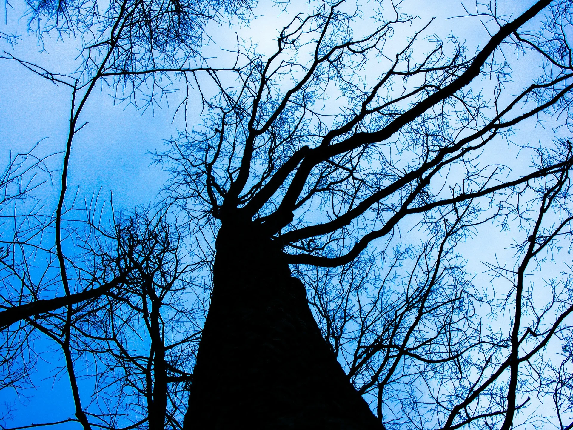      

 
   rest-less wanderer looking for things that no longer exist  looking for any sight that might seem familiar  here is your admonition:  realize that nothing will be as it was  NOTHING.  begin all over  start as a child  assume the role of t