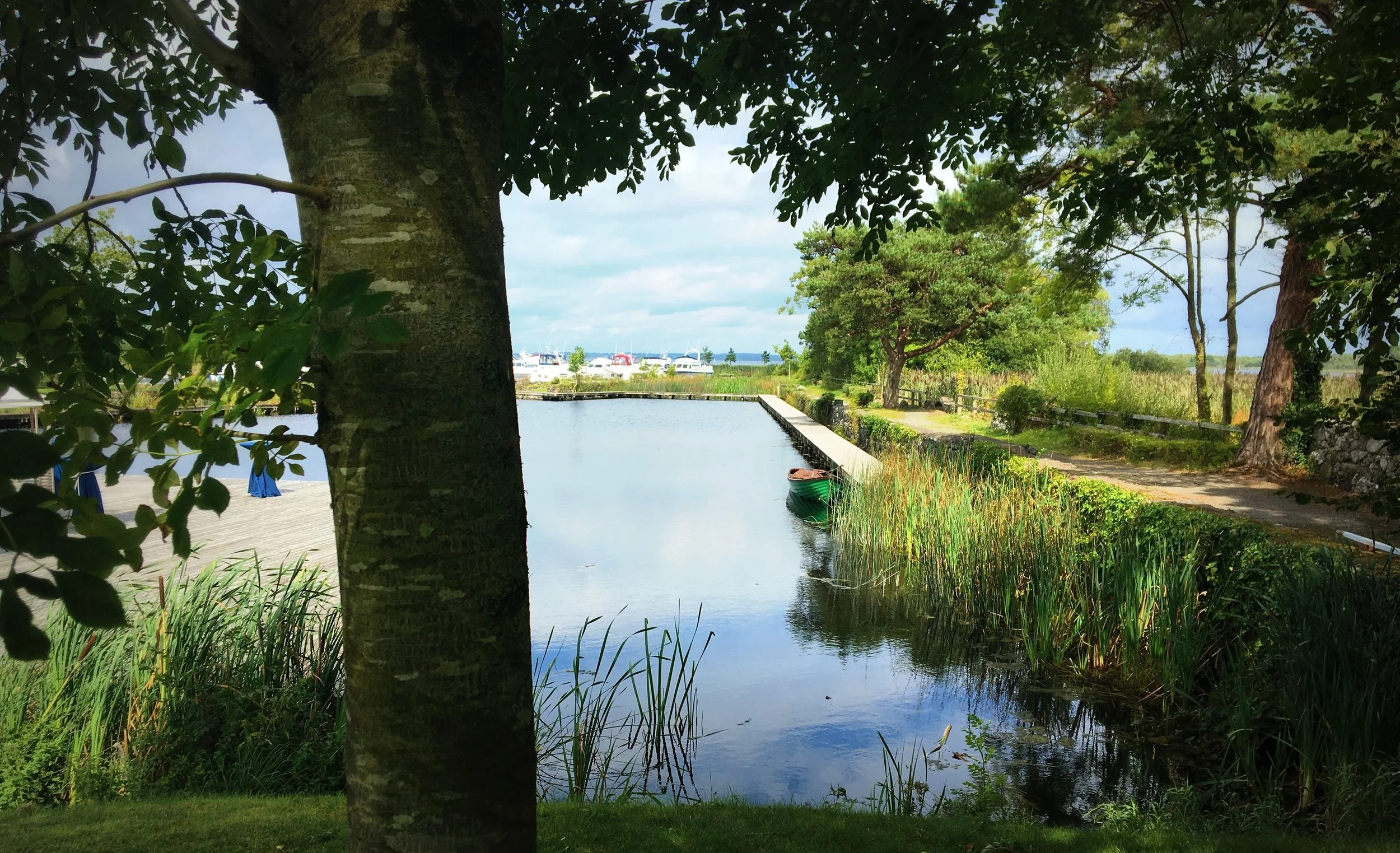 1-view from the lodge 5.JPG