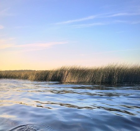 March Yoga Wellness Retreat | At Coolbawn Quay