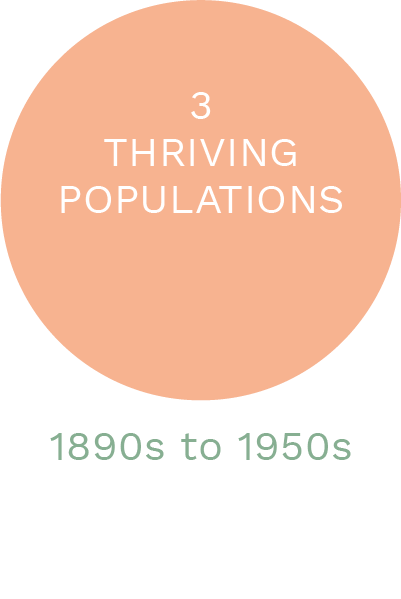 Thriving Populations.png