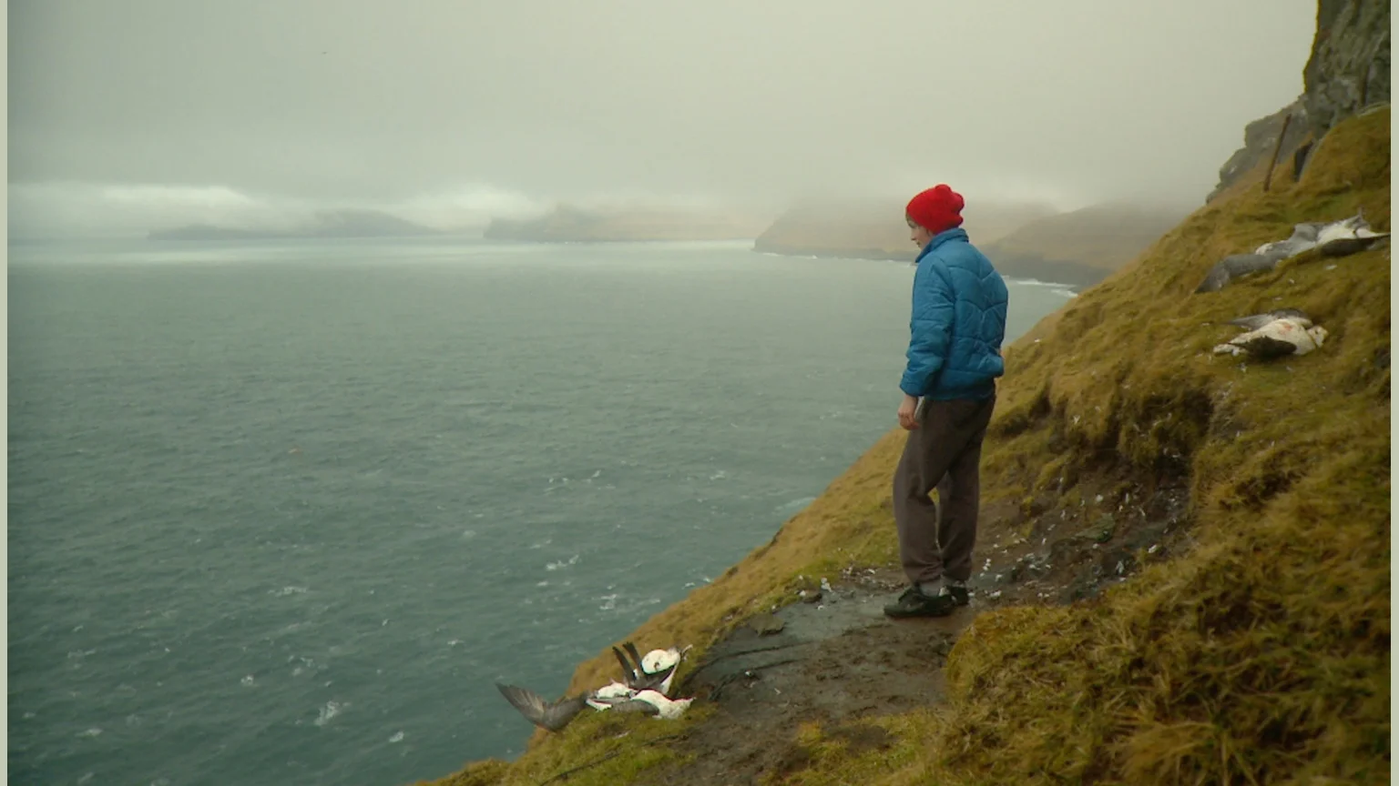 Islands and whales NEW.jpeg