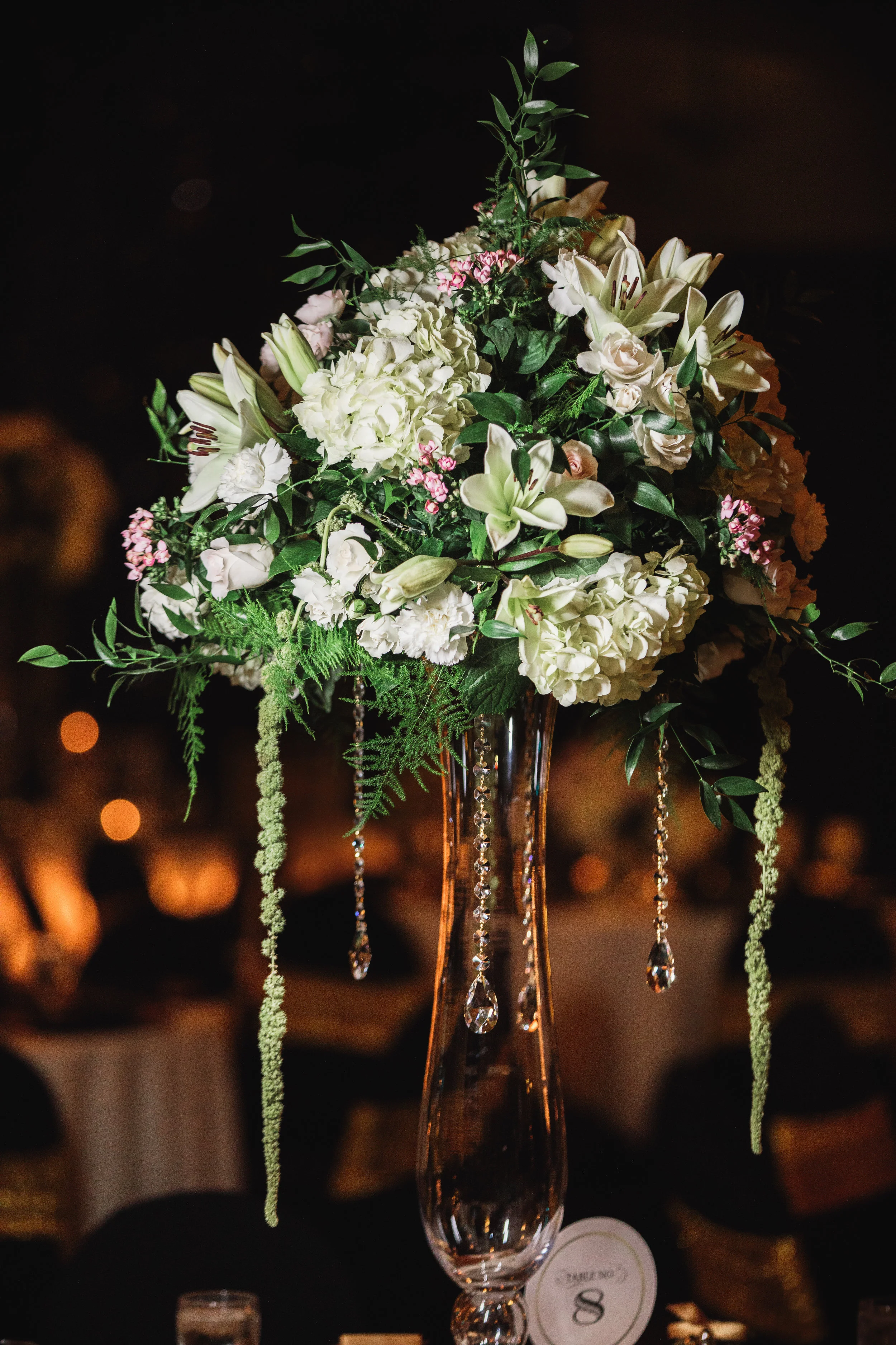 Robb McCormick Photography Blog 4.11.17 (81 of 100).jpg