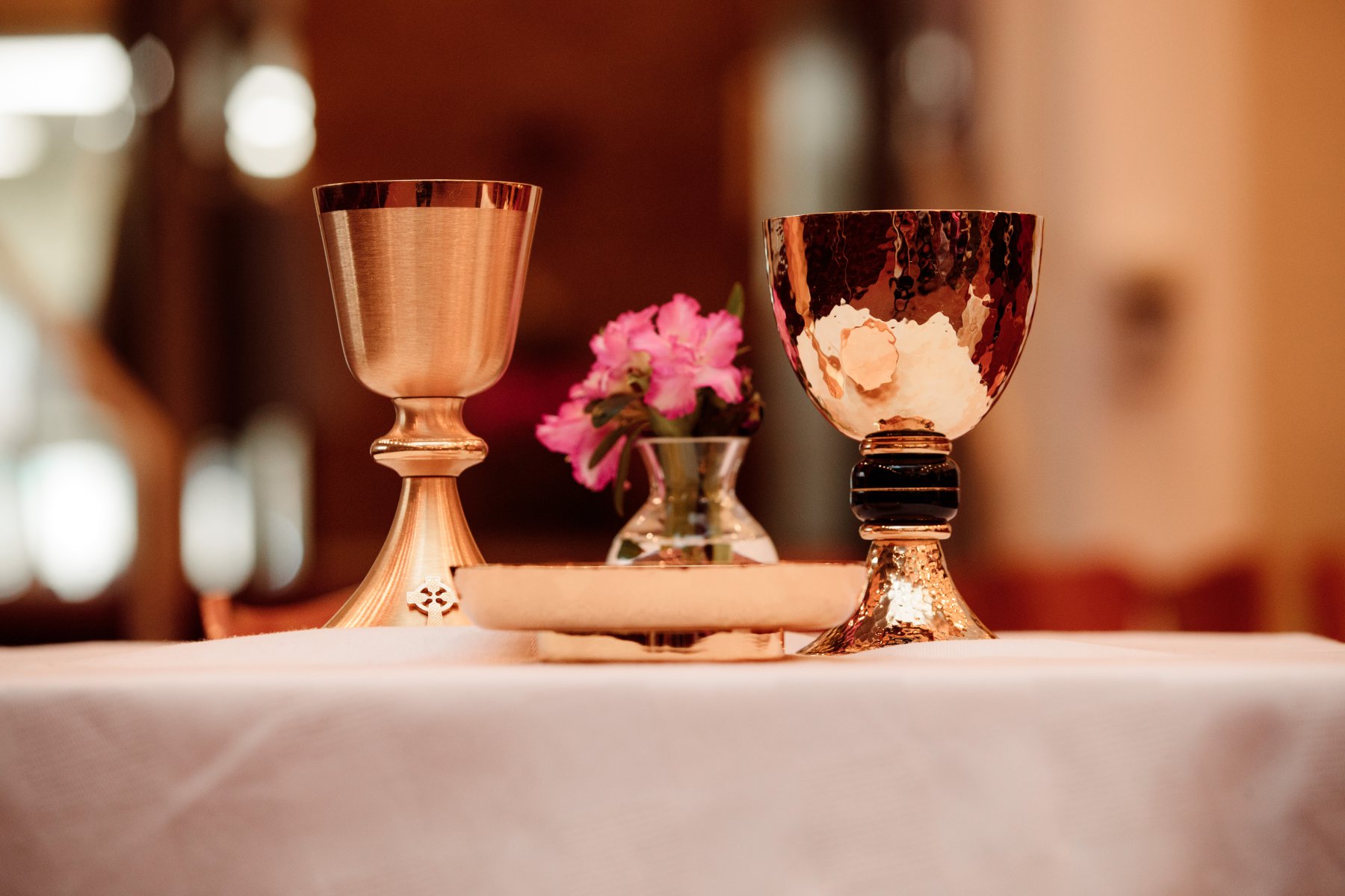 Robb McCormick Photography (308 of 1142).jpg