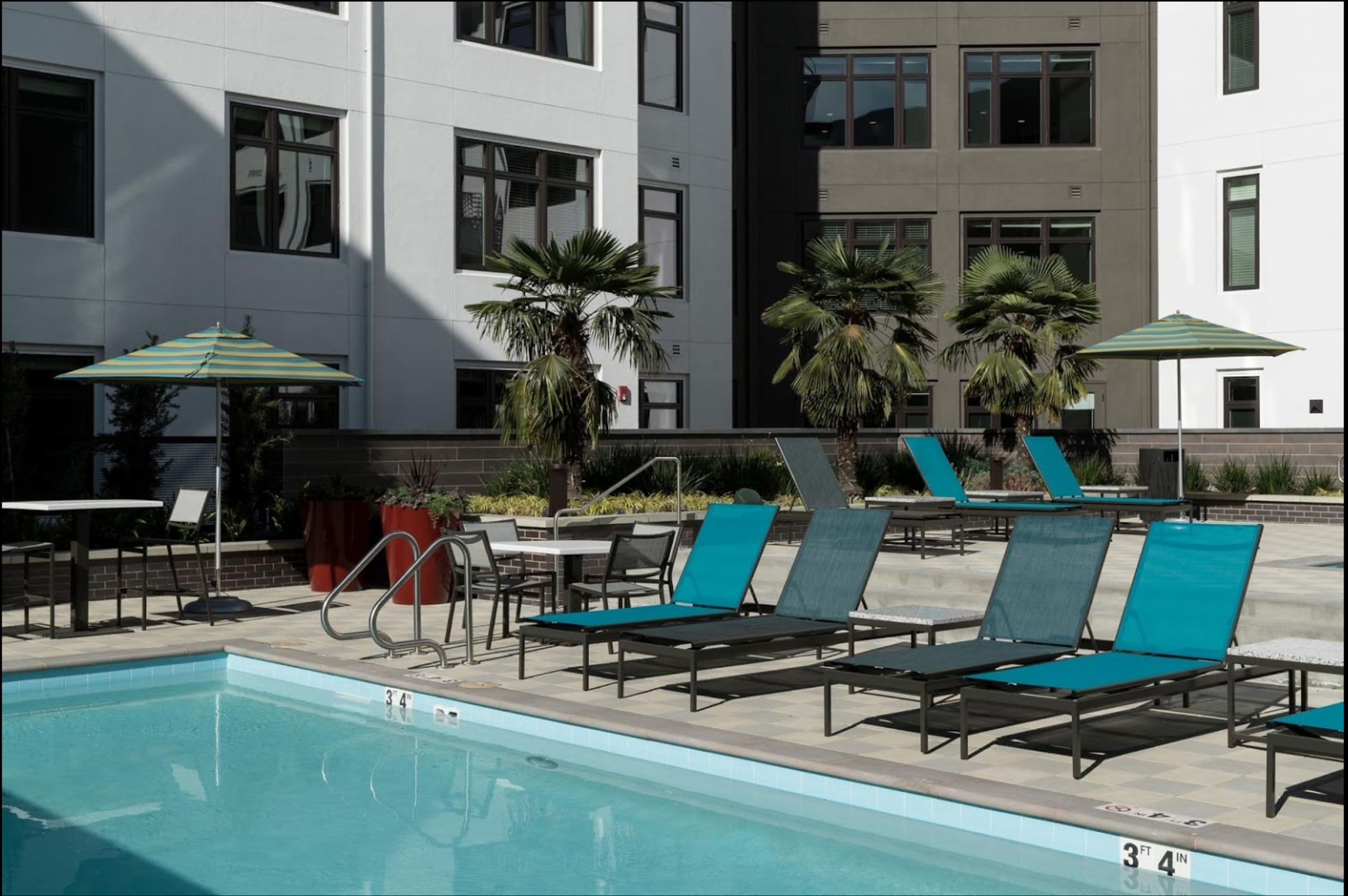 Screen Shot 2020-01-29 at 12.37.23 PM.png