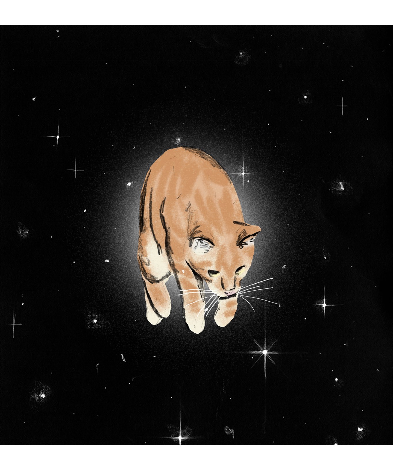 space kitty.jpg