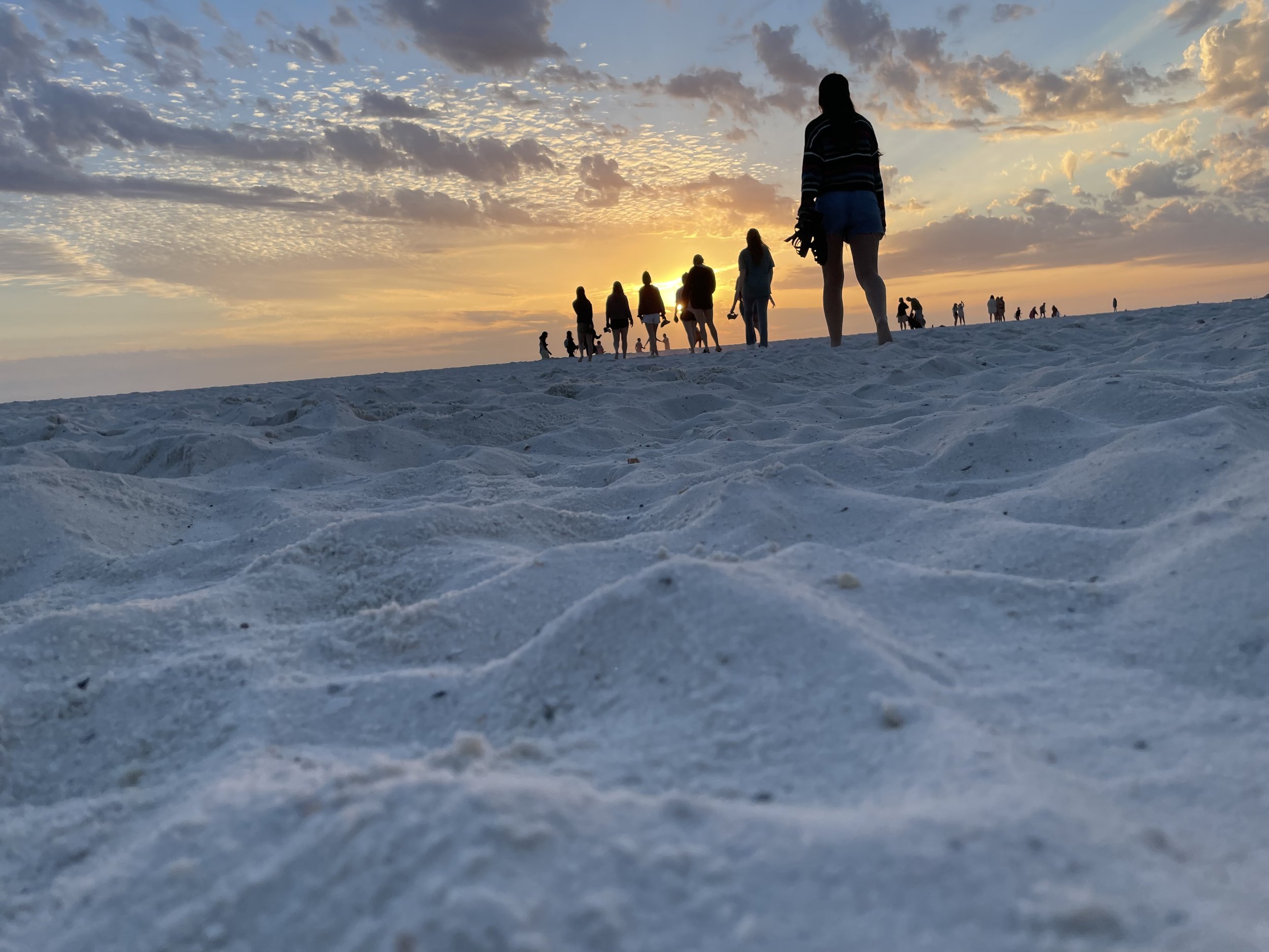 CSF Spring Break Trip