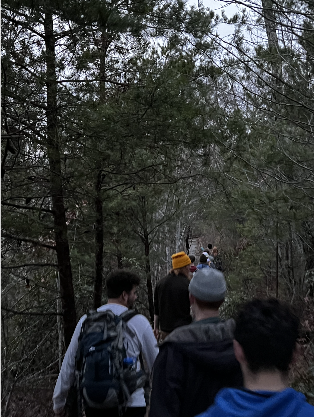 Camping Trip