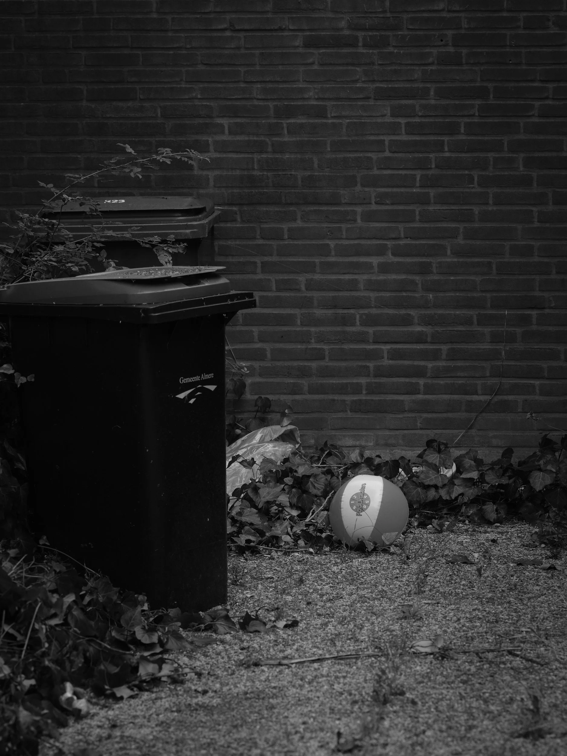 Bin Ball!