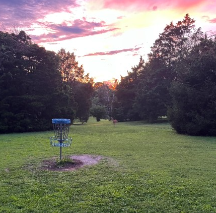 Disc Golf + Free Dinner!