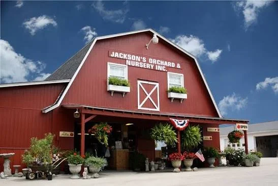 Jackson's Orchard