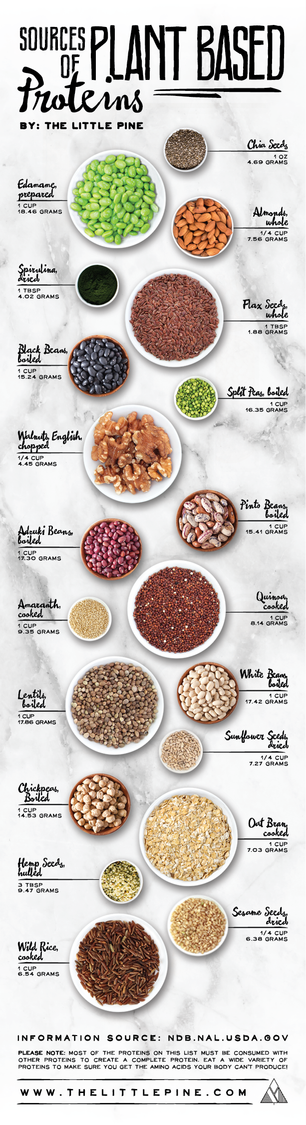 Plant-Protein-Featured-Image.png
