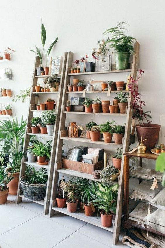 how to arrange plants on a book shelf by Urban Outfitters