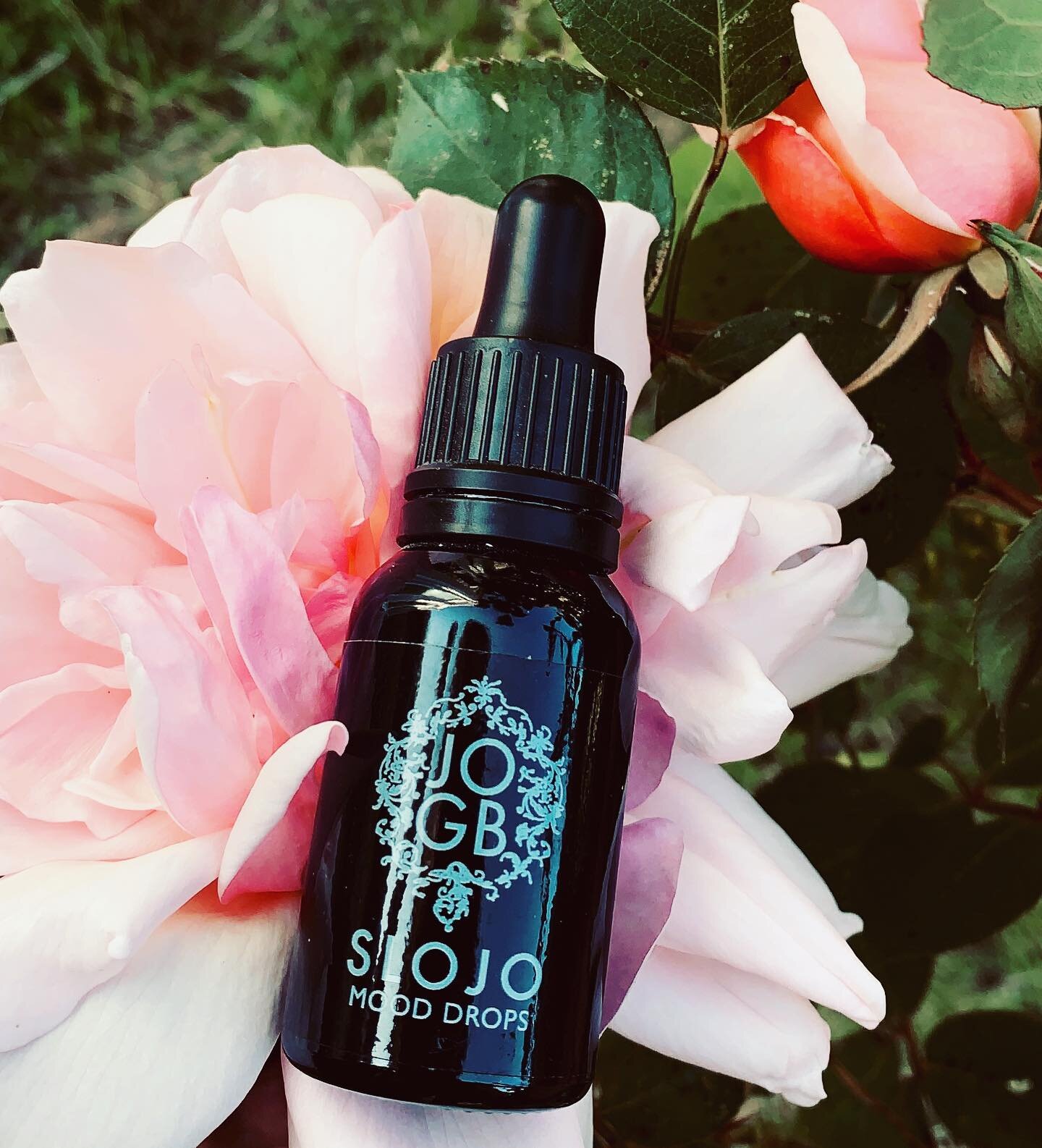 Rosa damascena is at the core of every JOGB aromatherapy blend. An ancient holy plant, it has a multitude of therapeutic properties, recognised in modern medicine too, from anti-depressant, anti-inflammatory, antimicrobial, and antioxidant, to analge