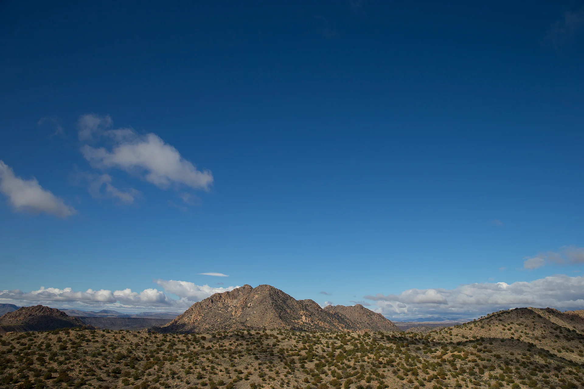 MM2_9439.jpg